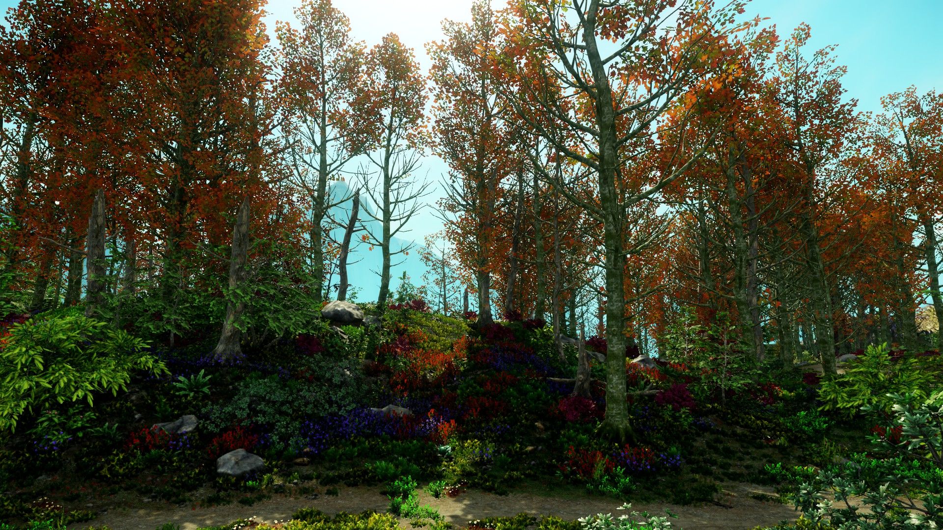 New World Forestry.jpg