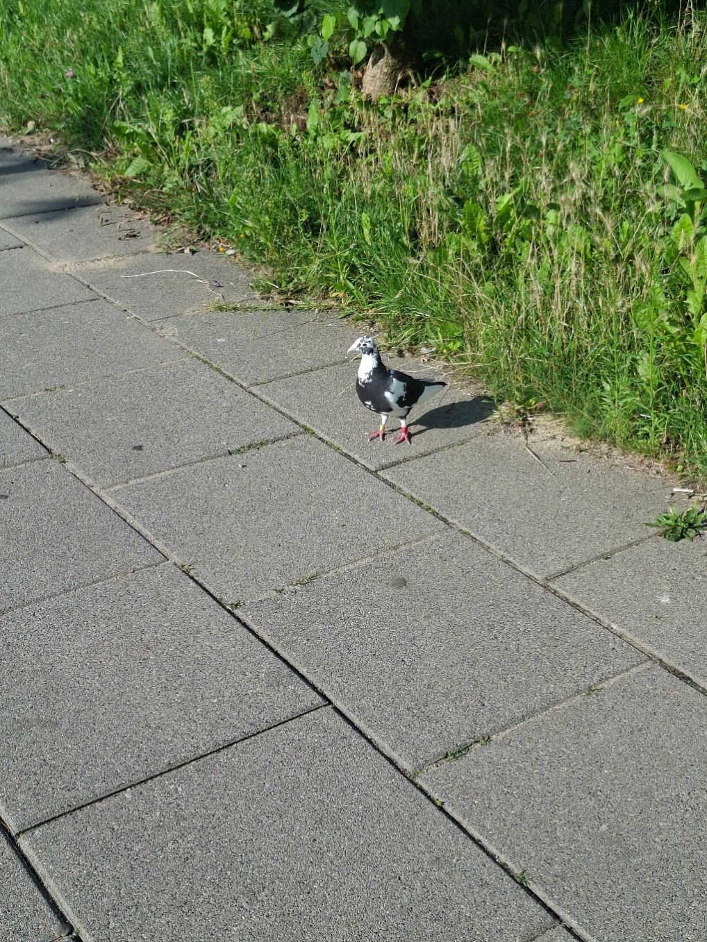 20250730_082412.jpg