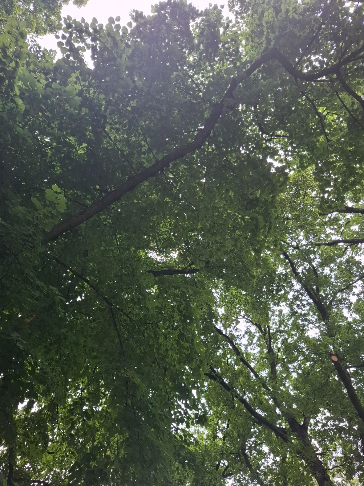 20250727_080236.jpg