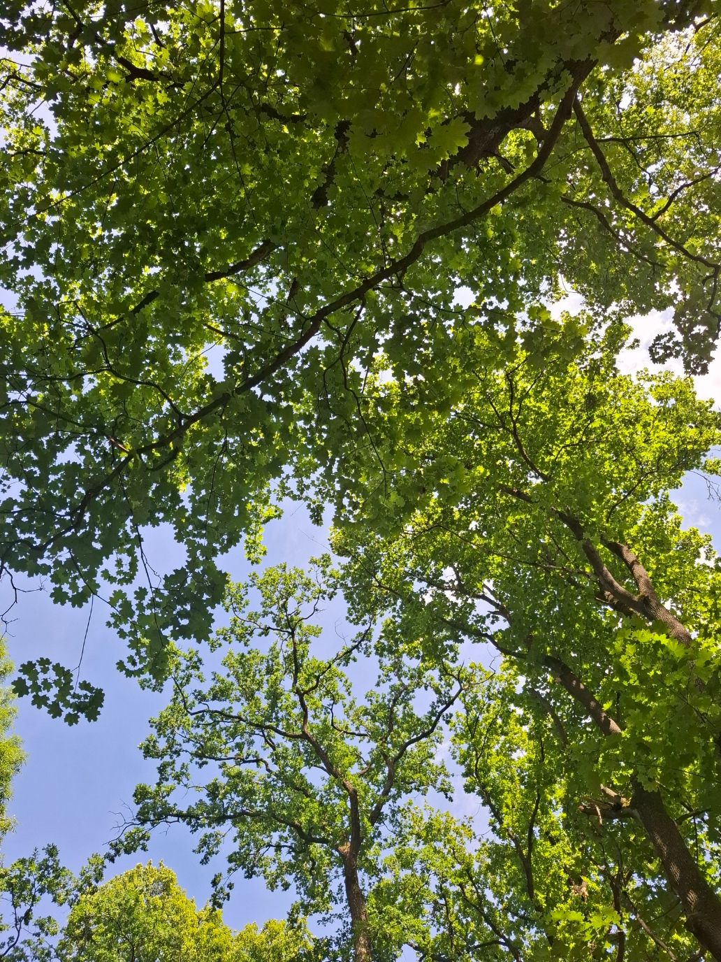 20250619_153504.jpg