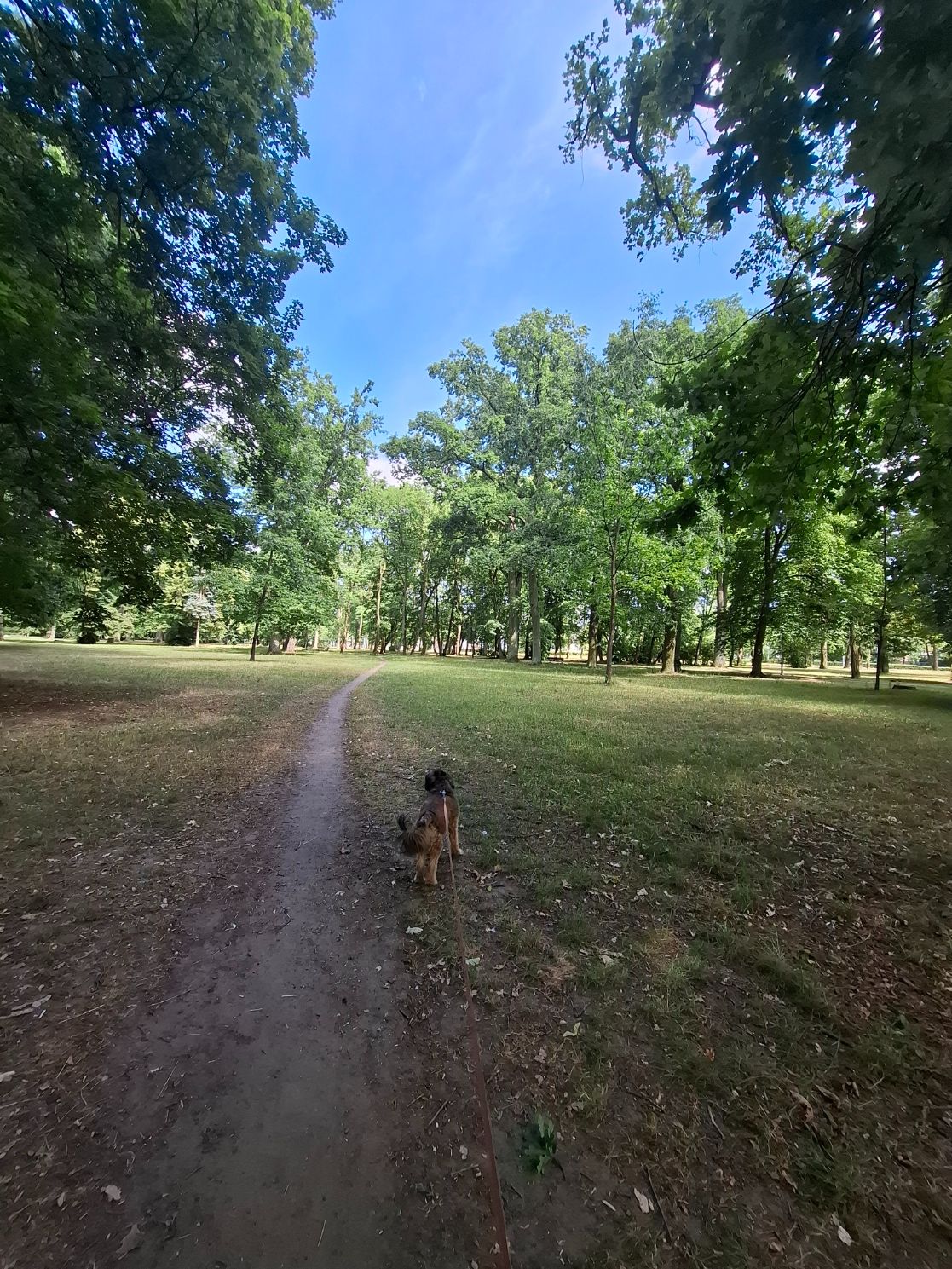 20250619_153546.jpg