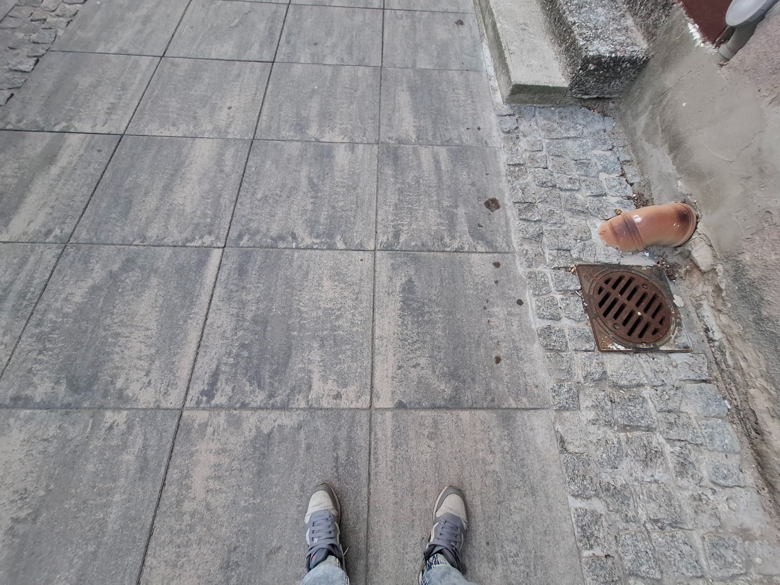 20250801_202647.jpg