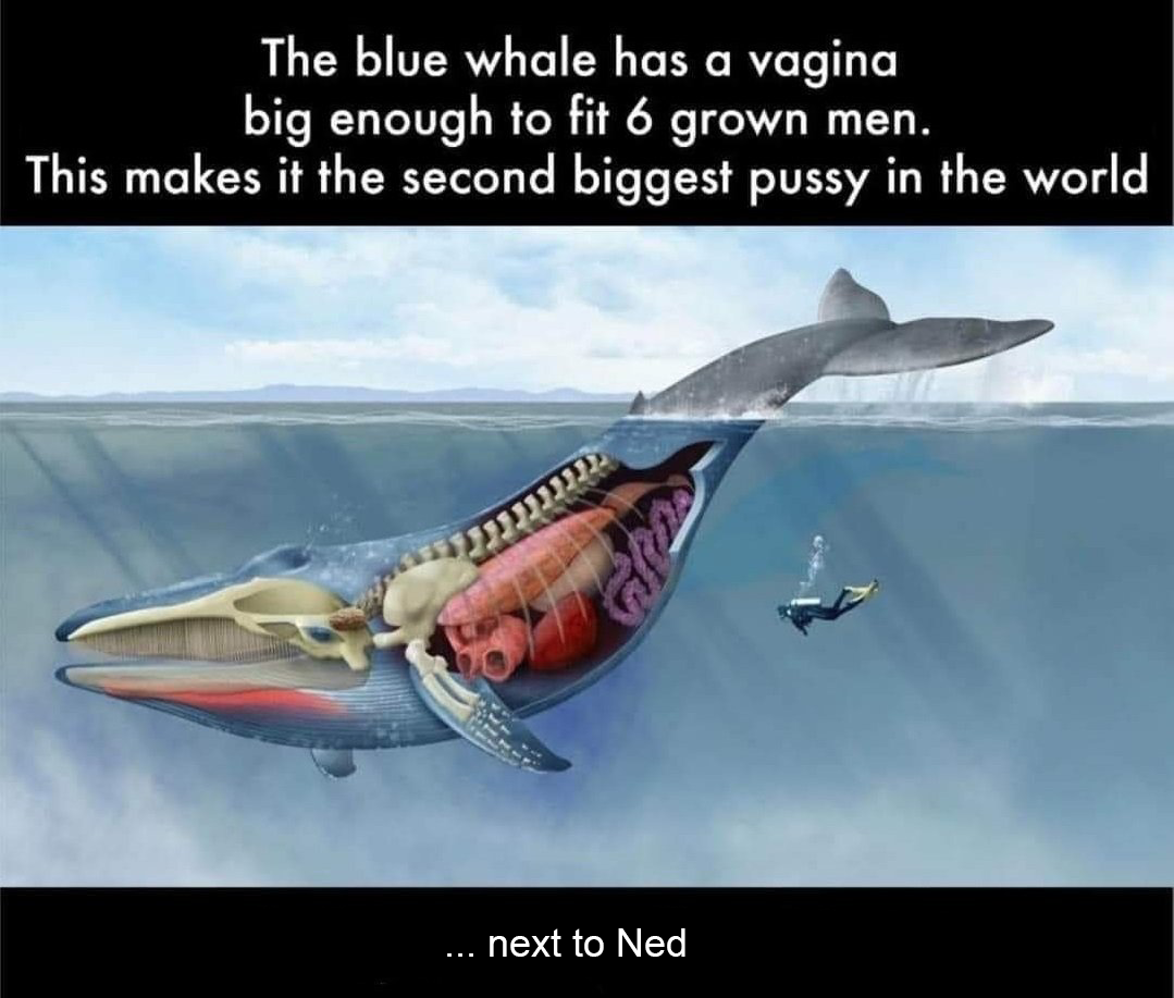 image.png/