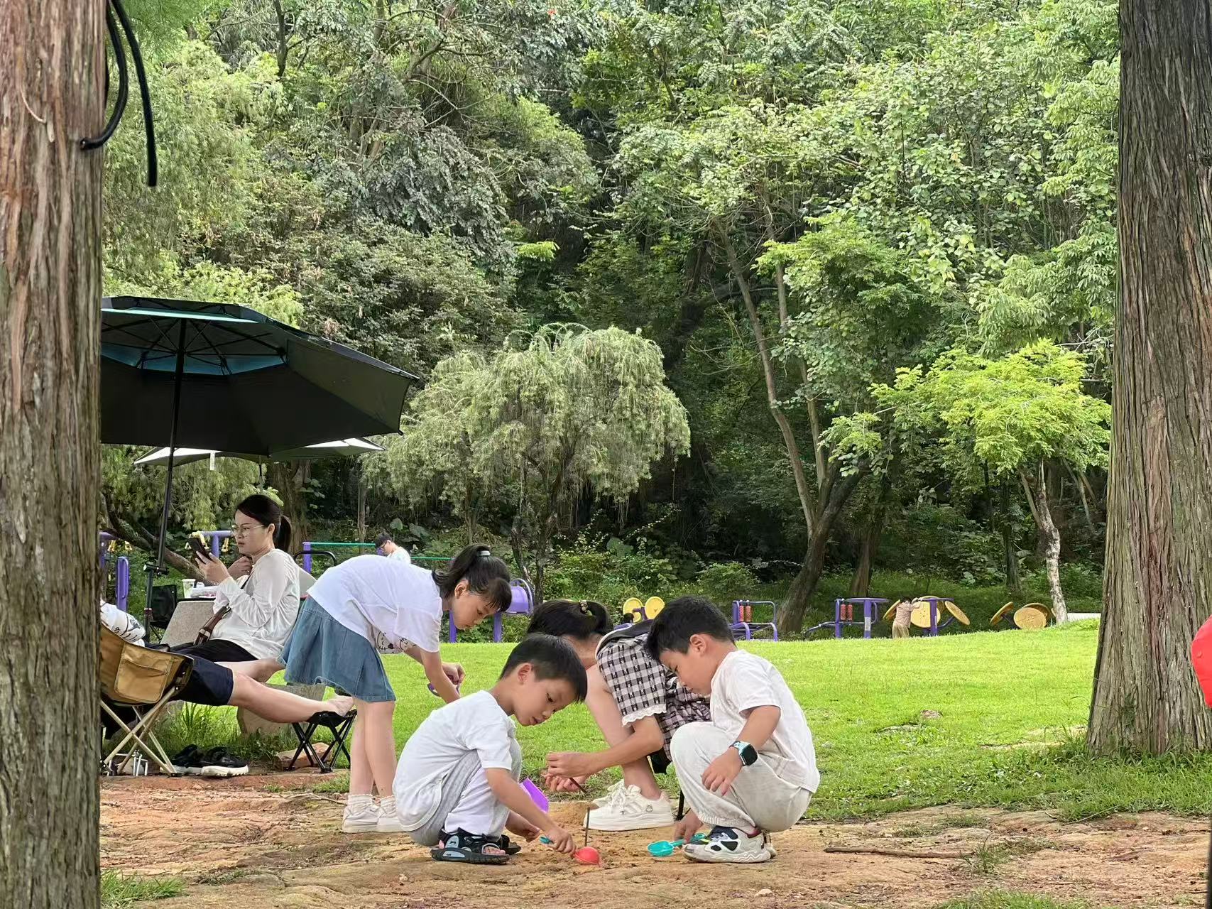 微信圖片_20250525090710.jpg