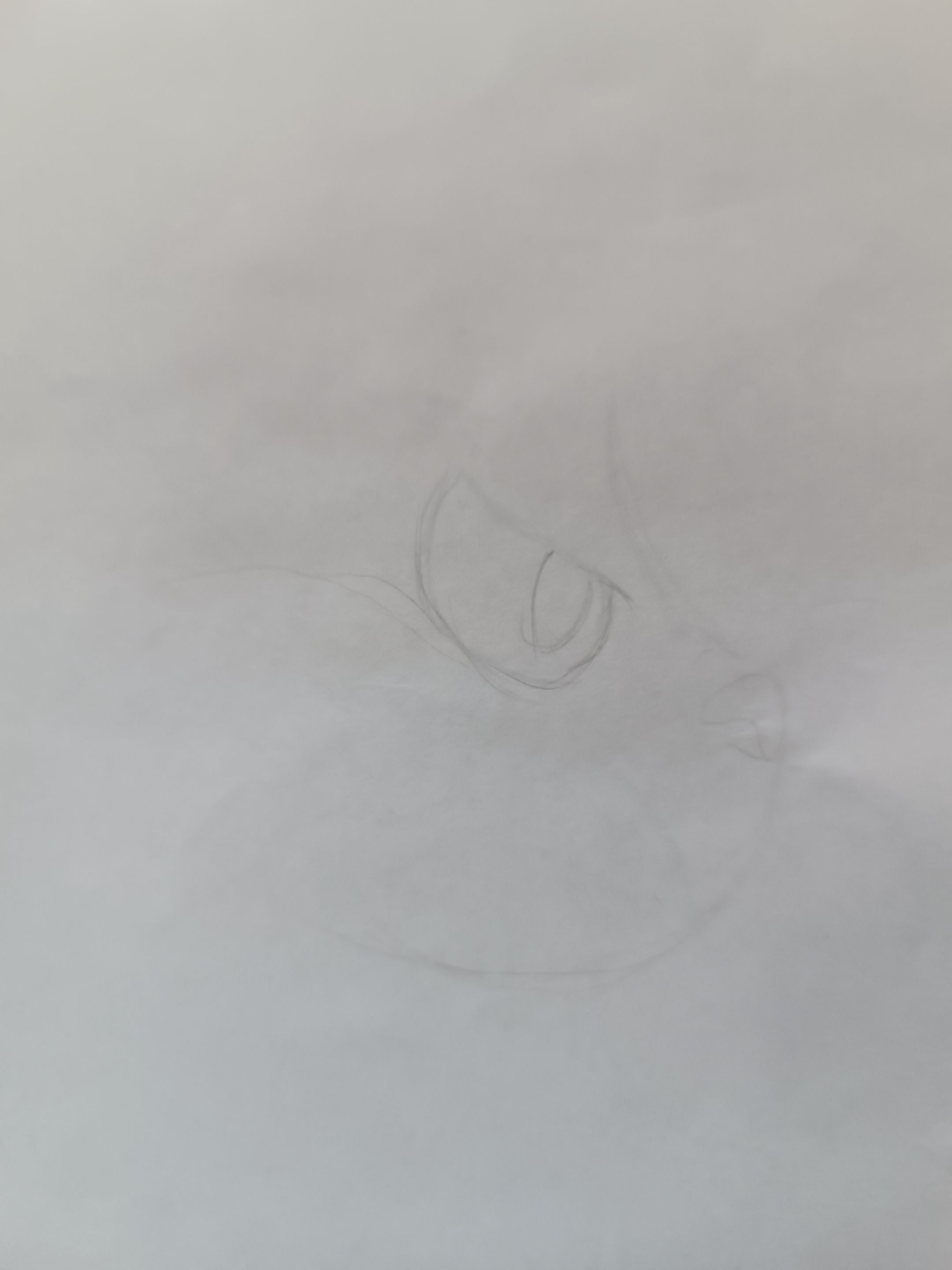1000544062.jpg