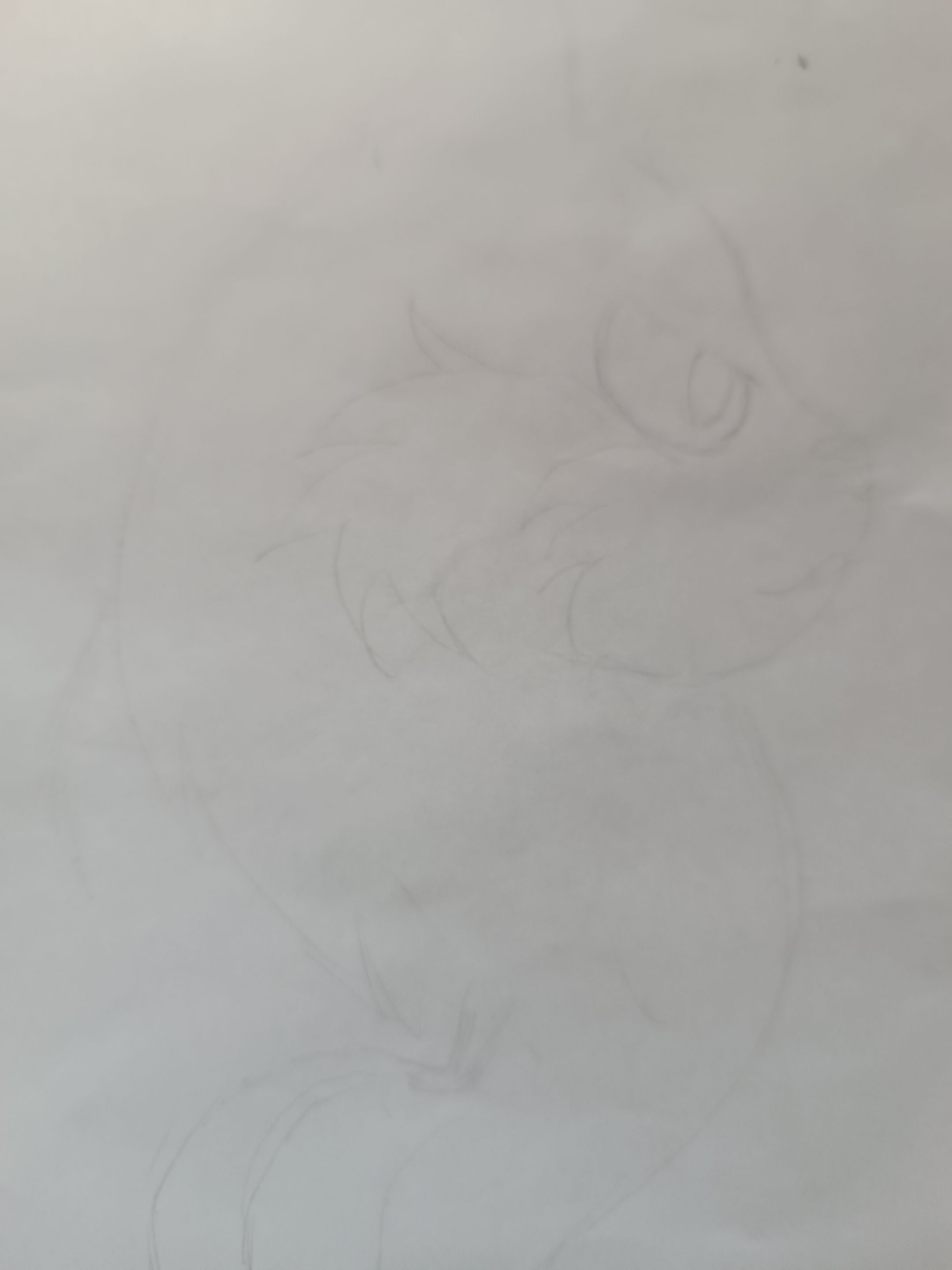 1000544063.jpg