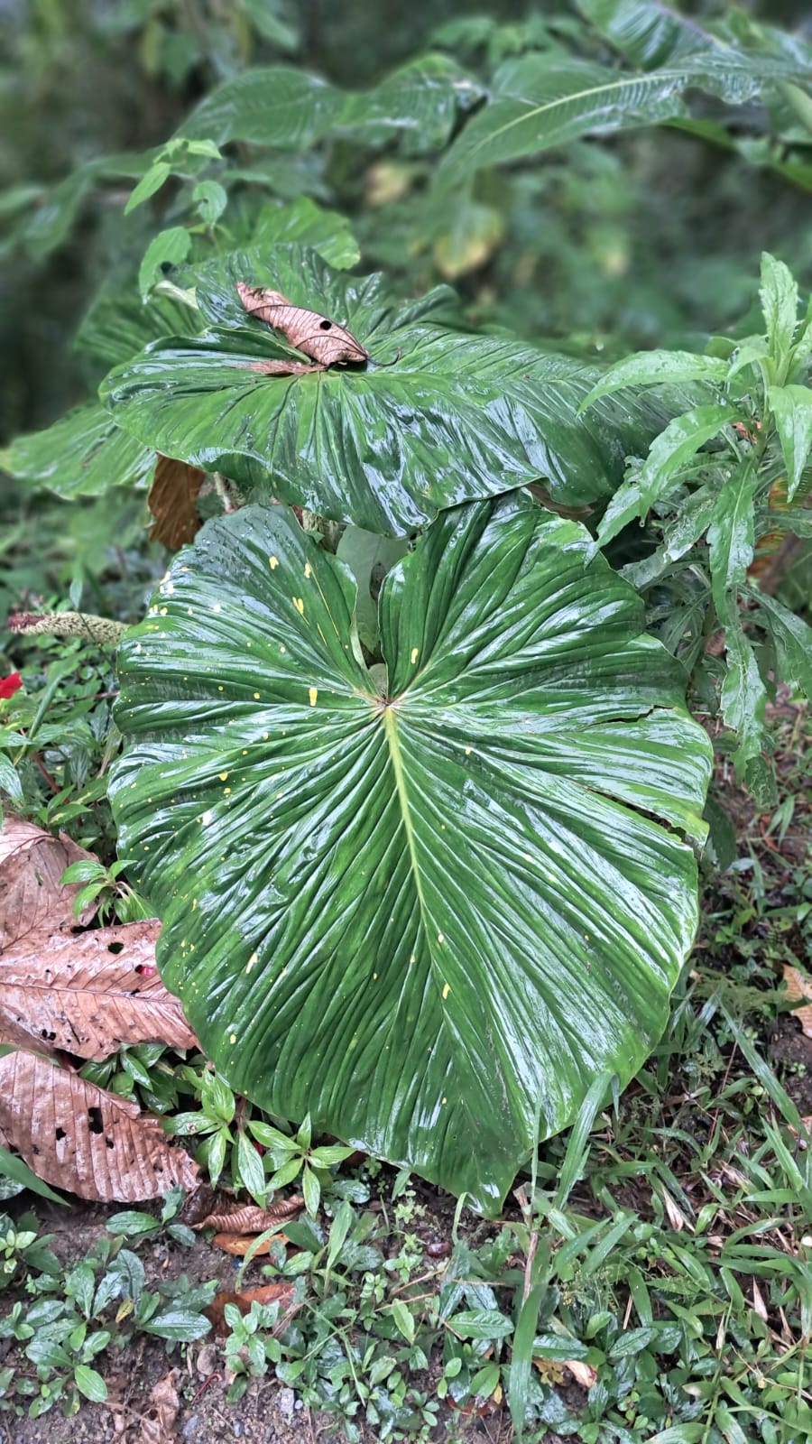 Imagen de WhatsApp 2025-10-21 a las 08.06.22_910dfa6d.jpg