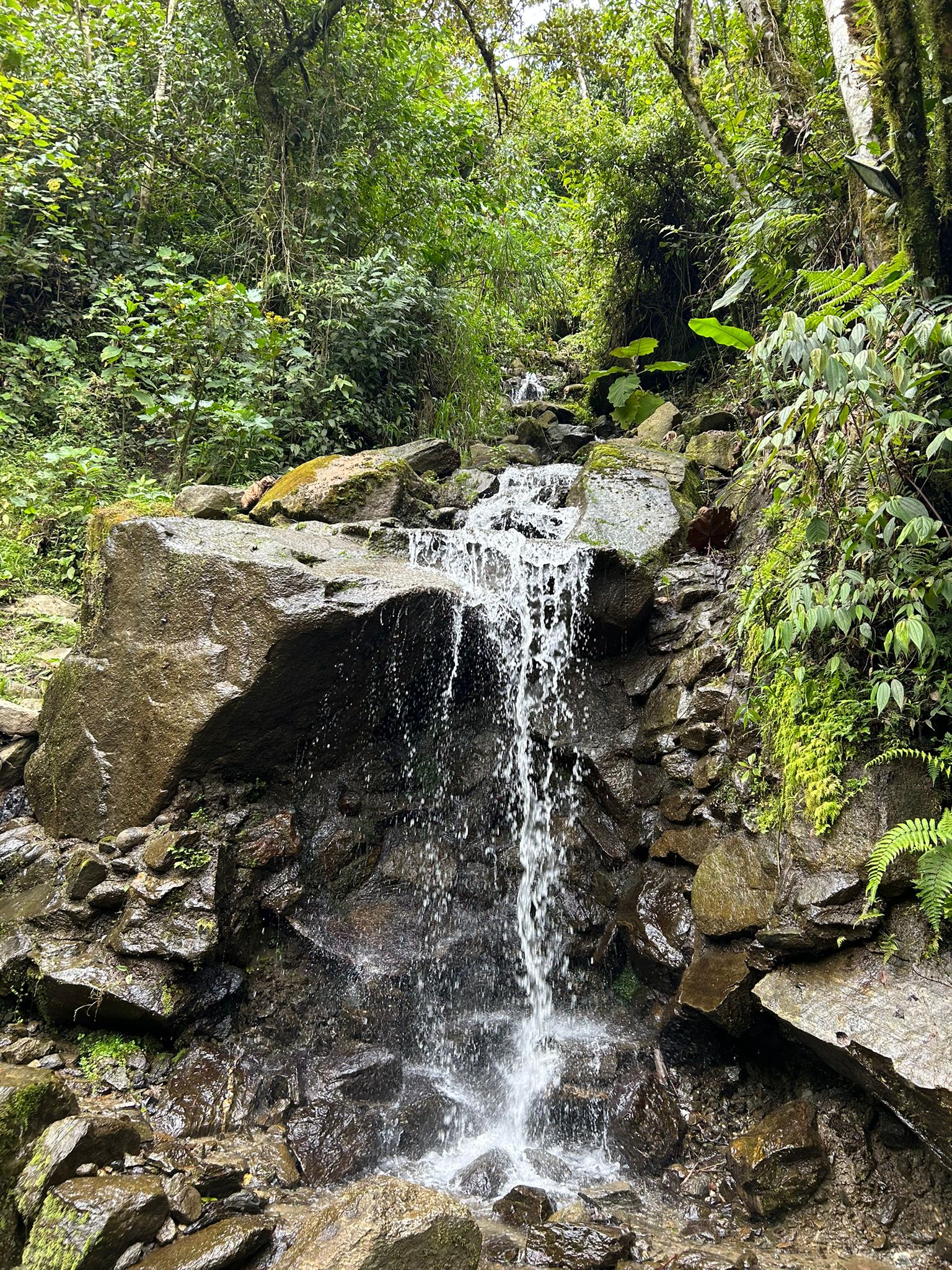 Imagen de WhatsApp 2025-10-28 a las 10.33.52_c6a57ede.jpg