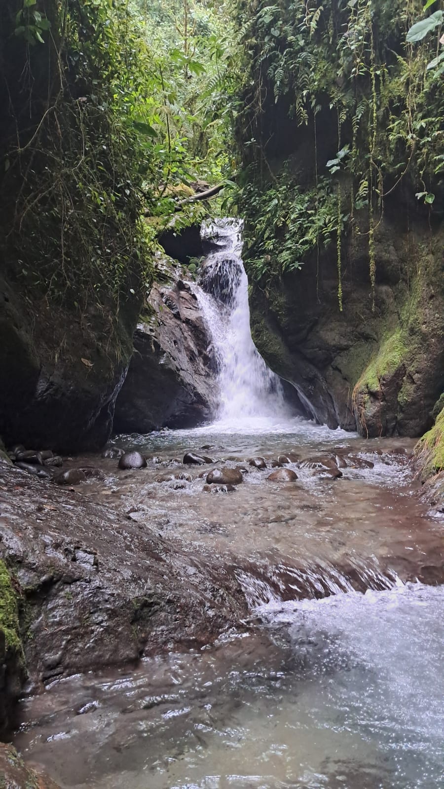 Waterfall.jpg