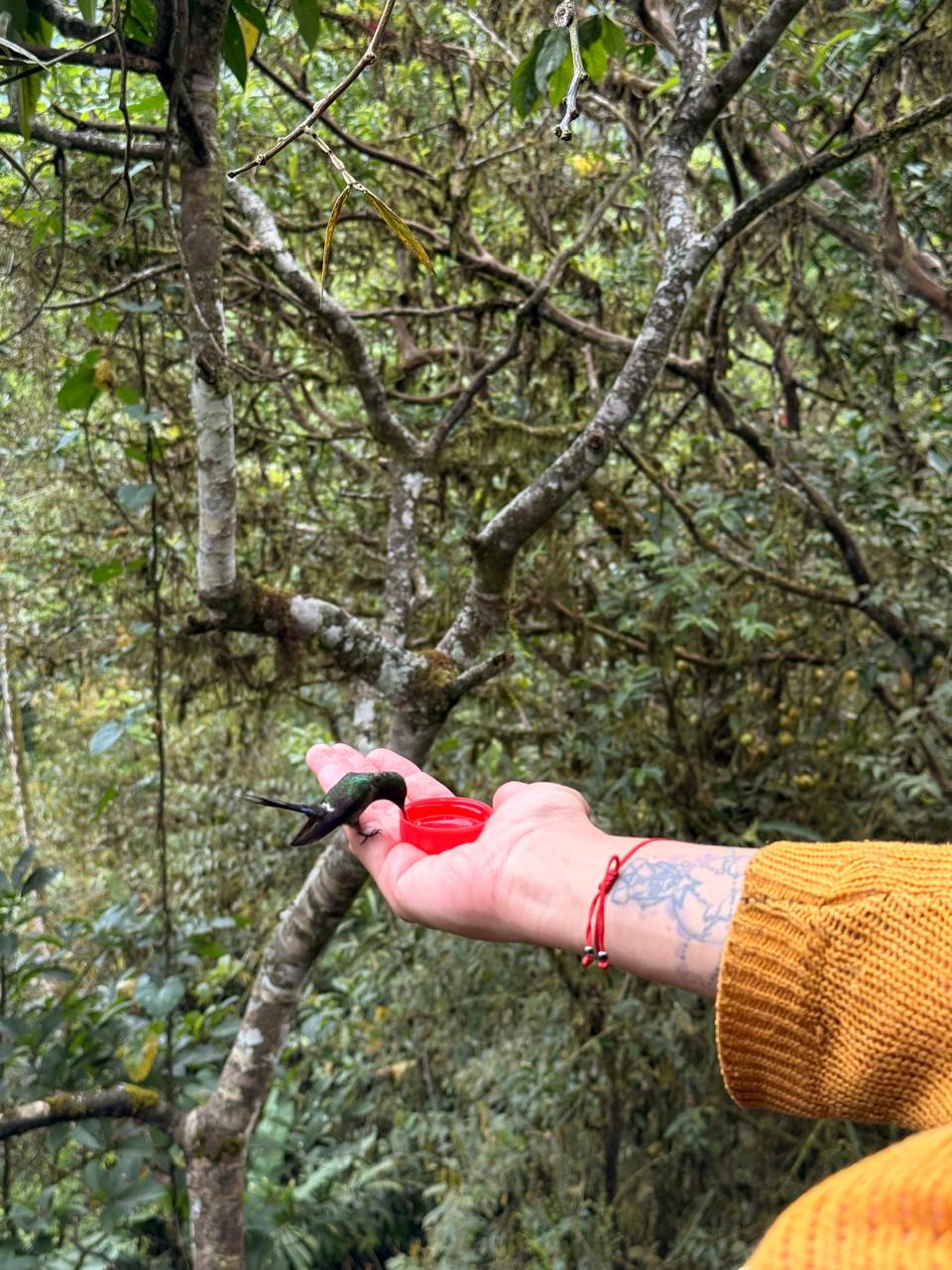 Imagen de WhatsApp 2025-10-21 a las 08.04.36_c6fc852e.jpg