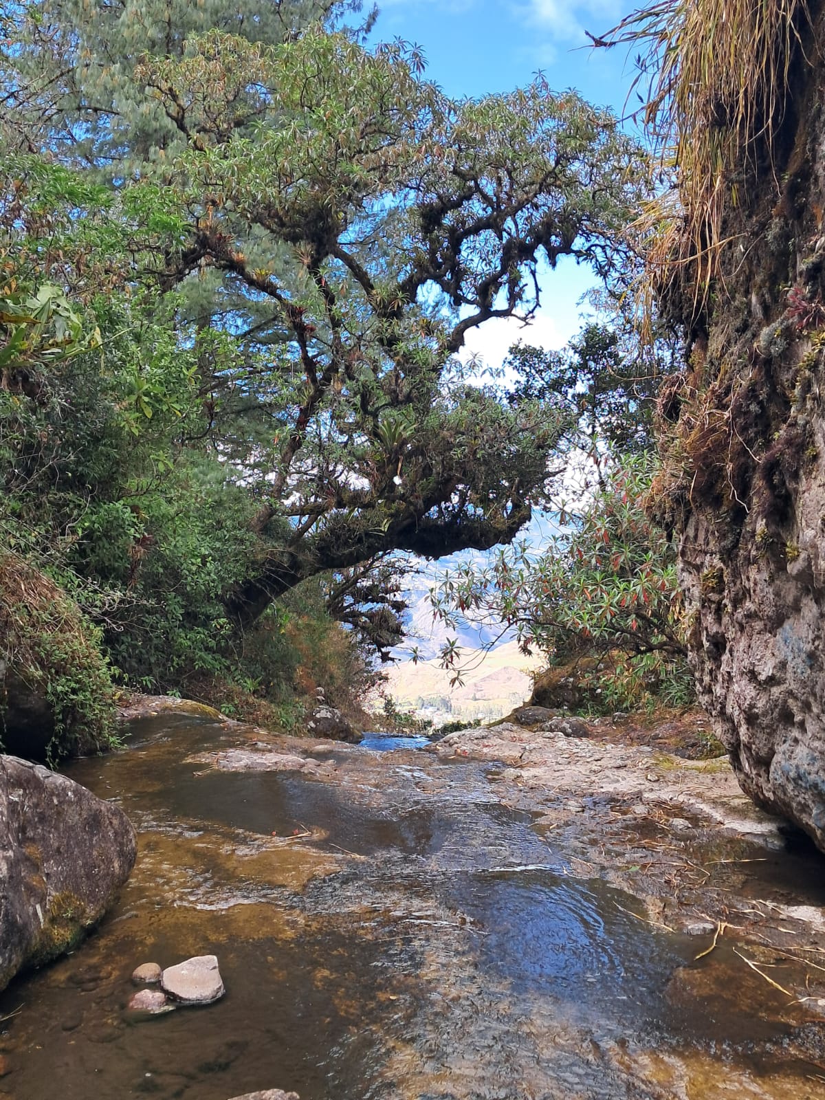 Rio.jpg