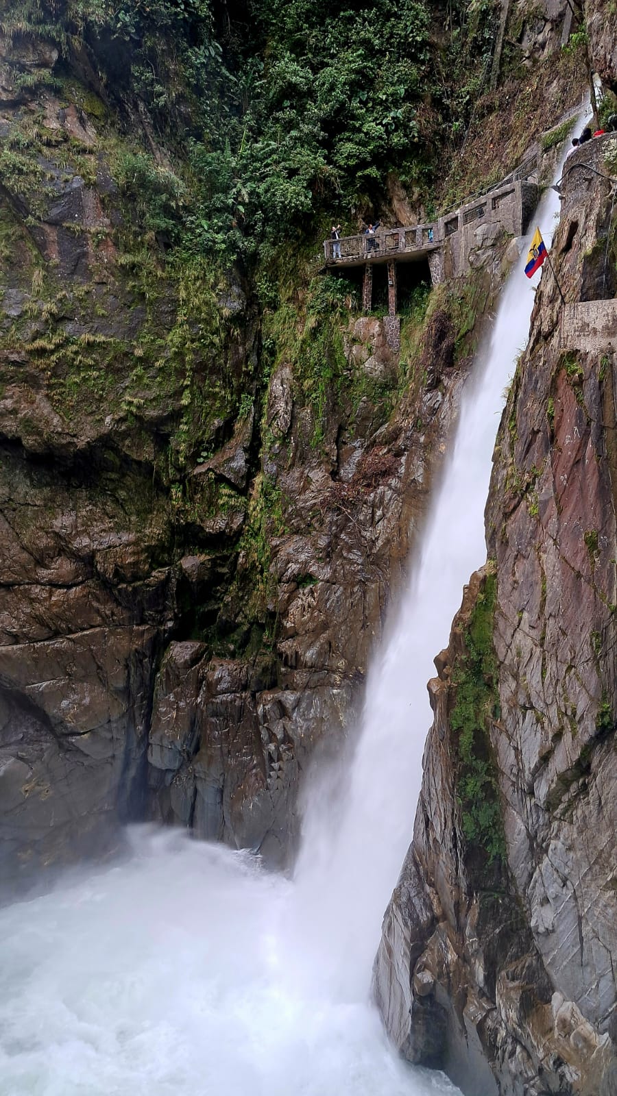 Imagen de WhatsApp 2025-11-01 a las 09.07.45_db6c166f.jpg