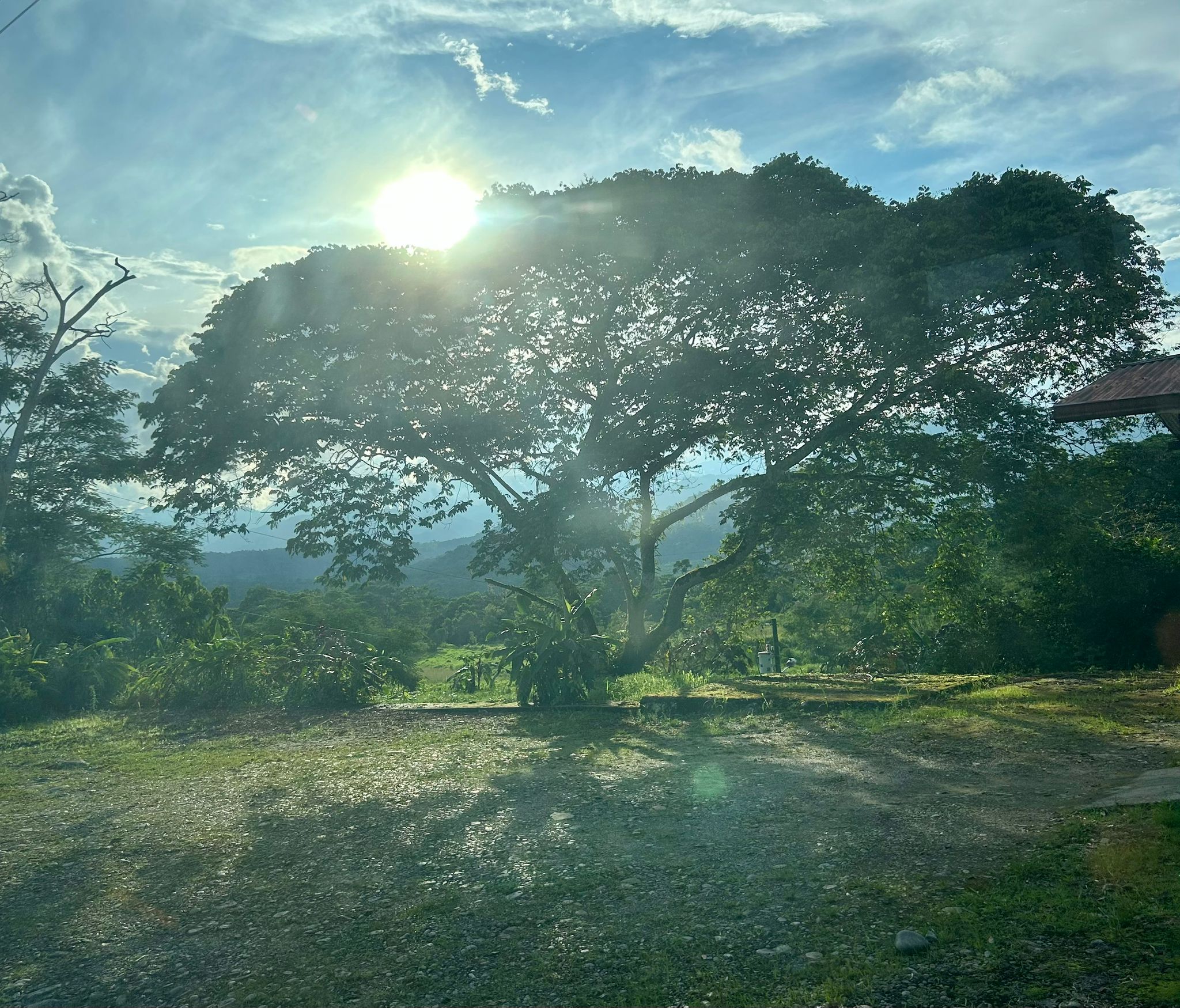 Imagen de WhatsApp 2025-10-28 a las 10.28.56_6e5b0c13.jpg