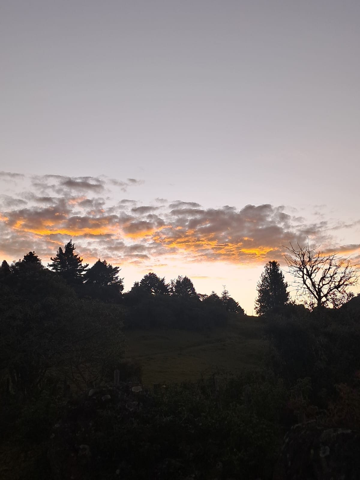 Amanecer montaña.jpg