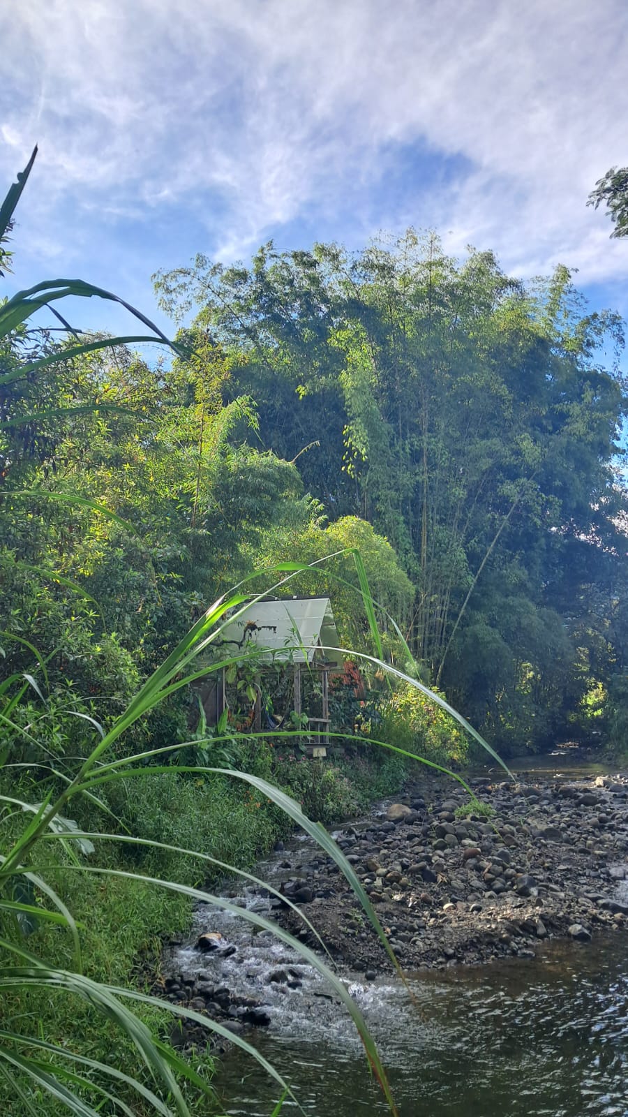 Imagen de WhatsApp 2025-10-21 a las 08.05.57_5460b9b8.jpg