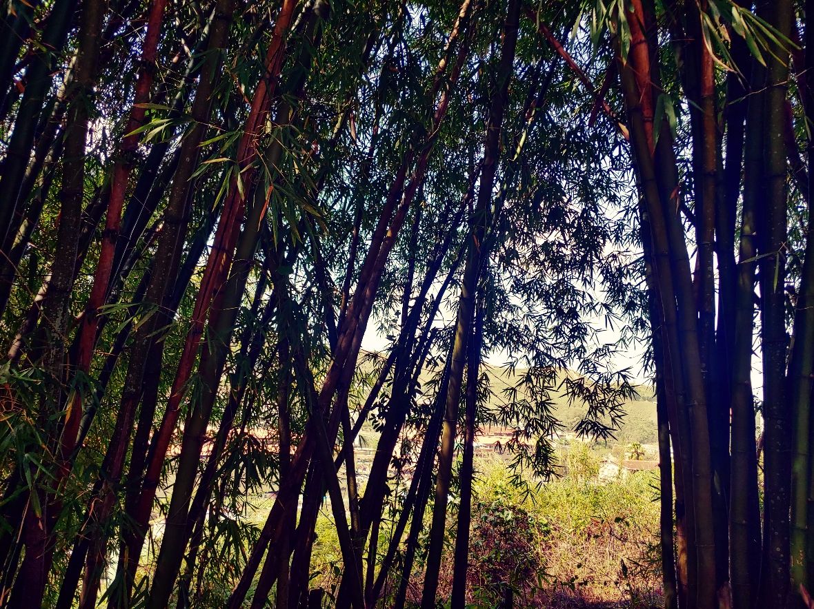 PicsArt_04-18-11.38.32.jpg
