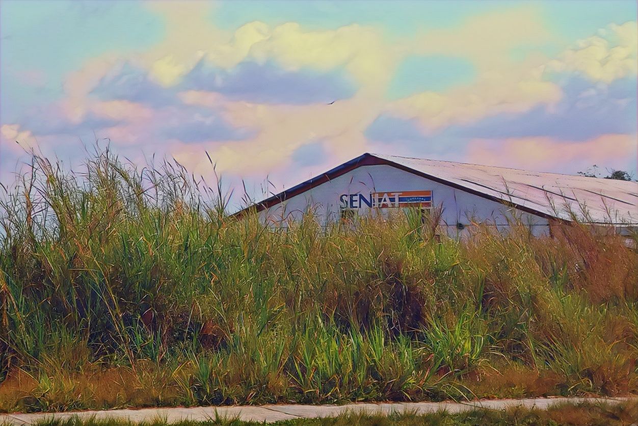 PicsArt_04-18-11.31.07.jpg