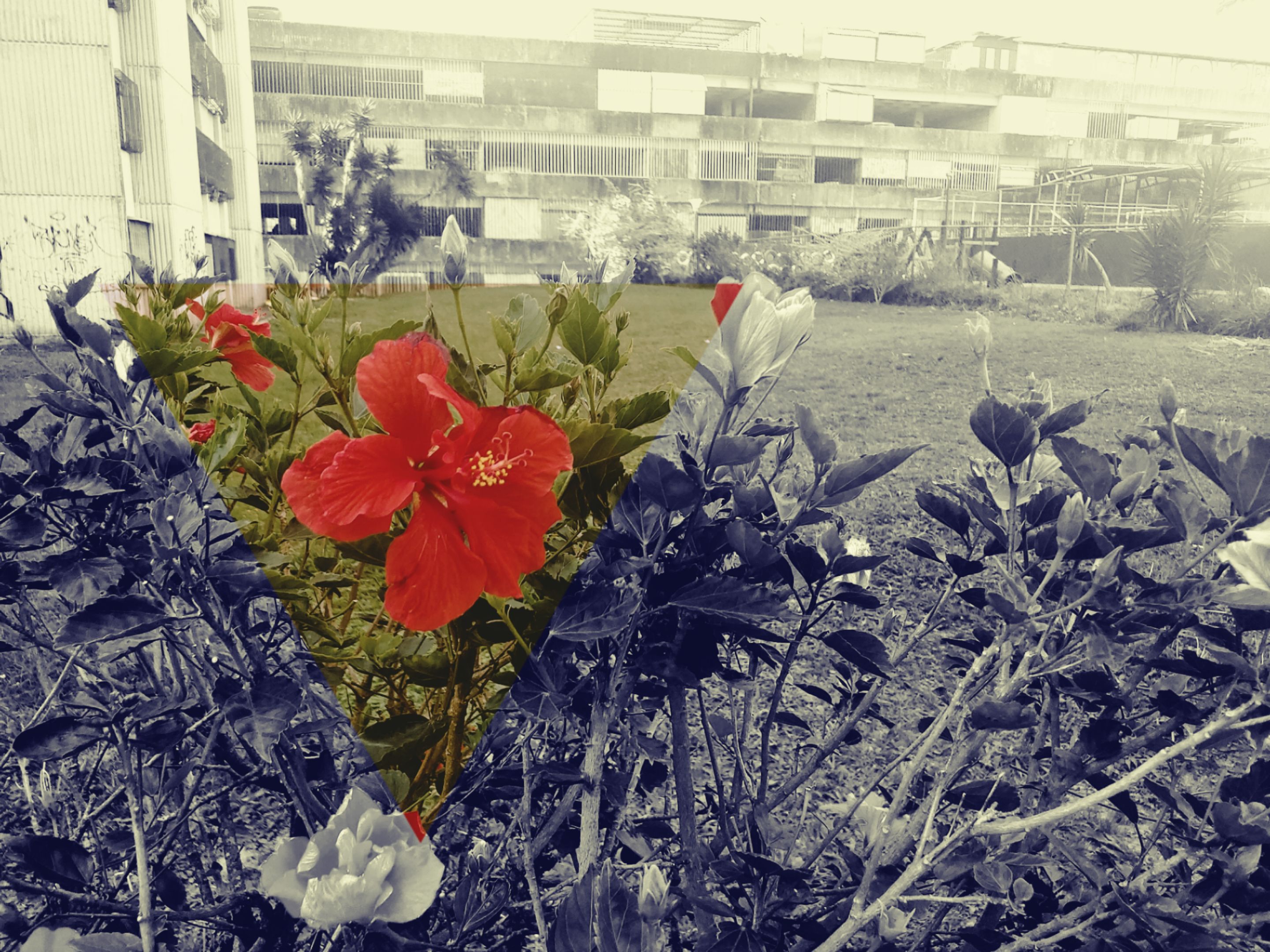 PicsArt_04-18-03.03.07.jpg