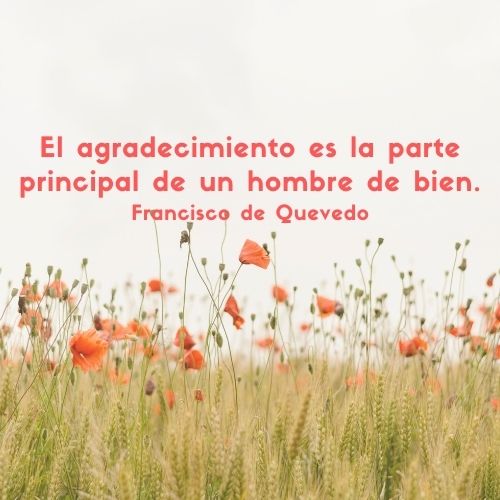 5YqvAqNO-El20agradecimiento20es20la20parte20principal20de20un20hombre20de20bien.20Francisco20de20Quevedo.jpg