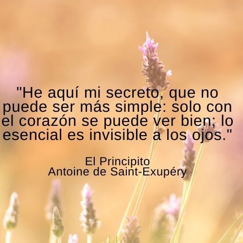 dK0LIPNo-_He20aquC3AD20mi20secreto20que20no20puede20ser20mC3A1s20simple_20solo20con20el20corazC3B3n20se20puede20ver20bien20lo20esencial20es20invisible20a20los20ojos._.jpg