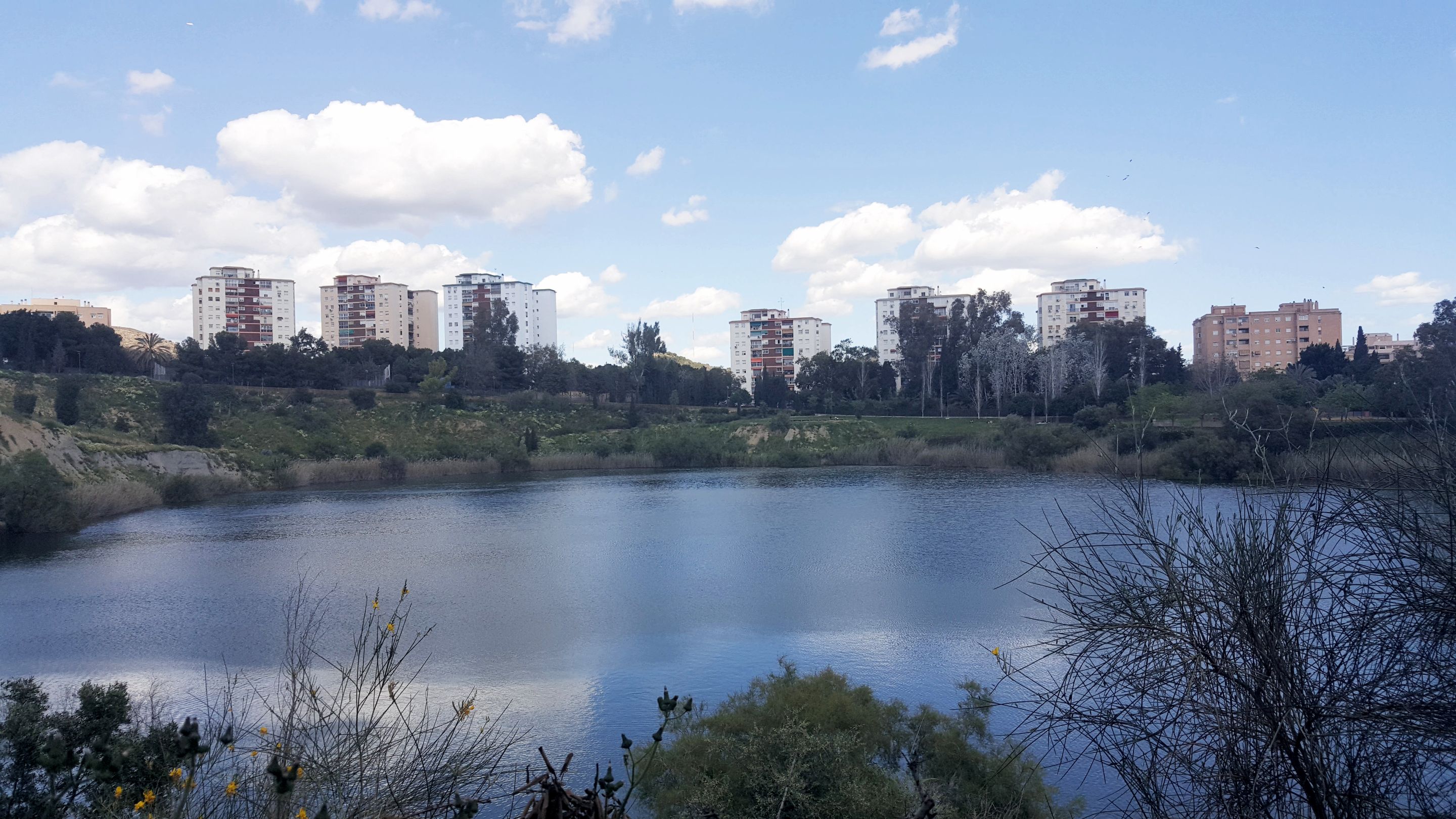 20250416_160636.jpg