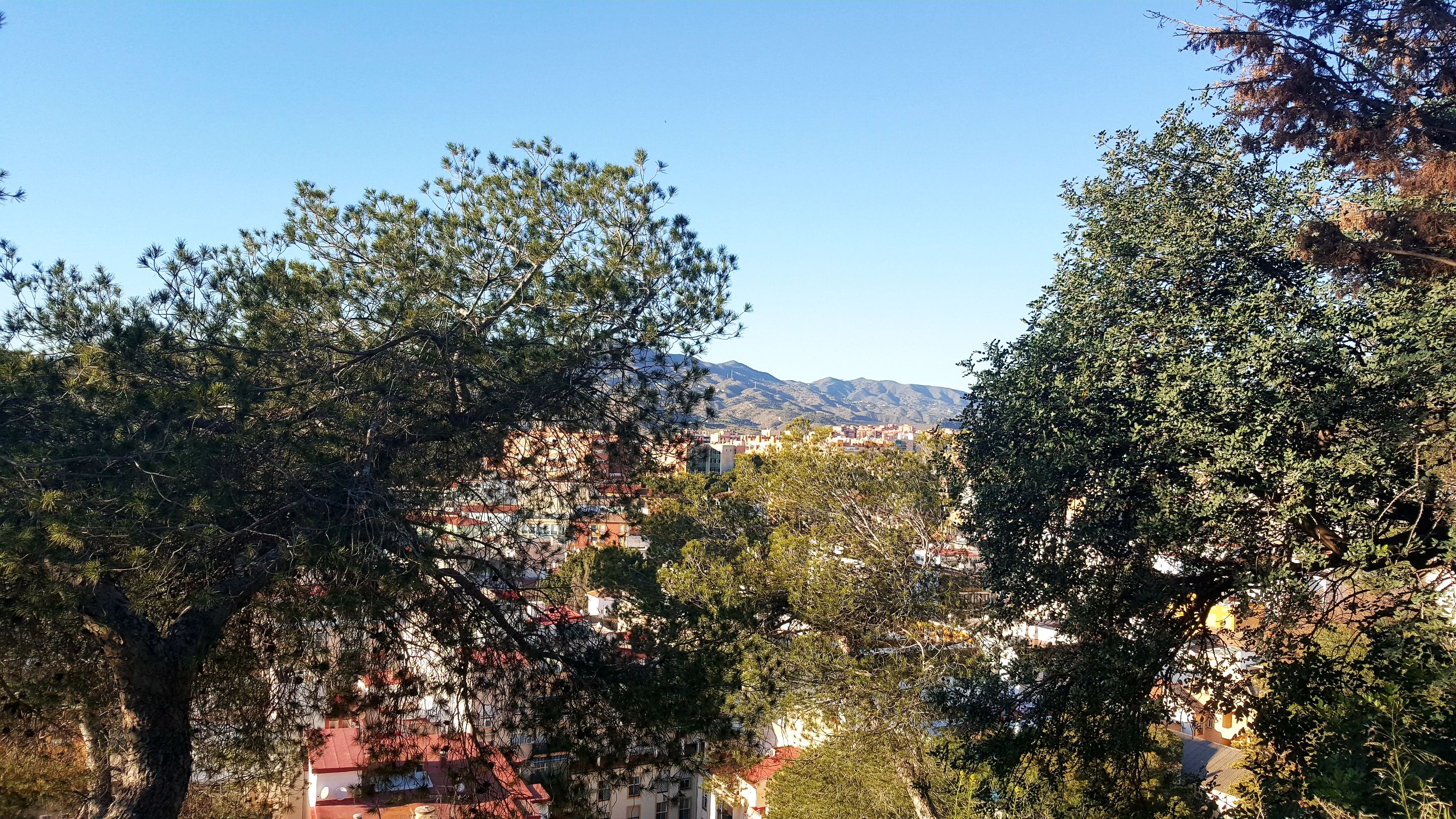 20250115_165311.jpg