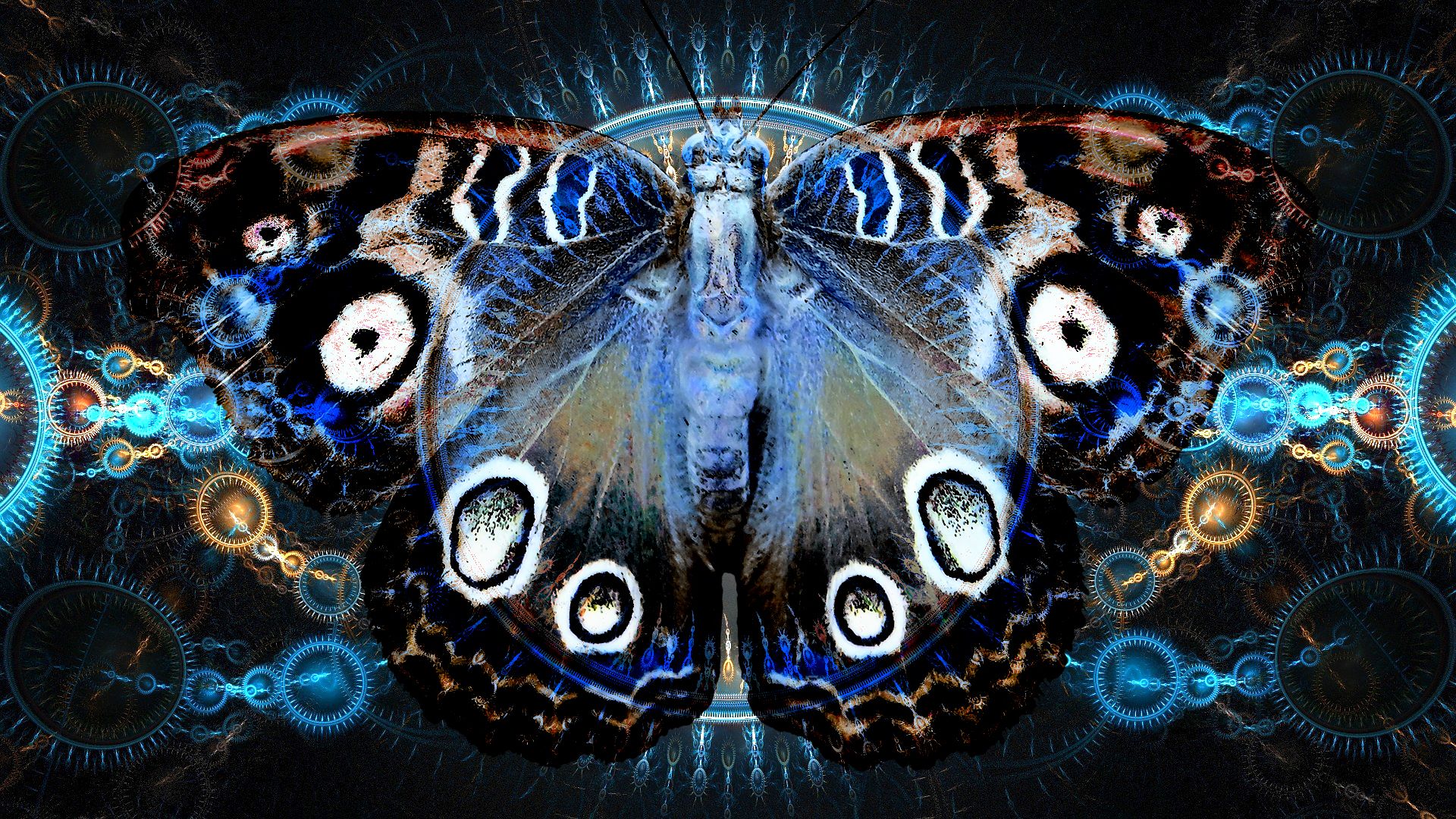 Mariposa mecanica 2.jpg