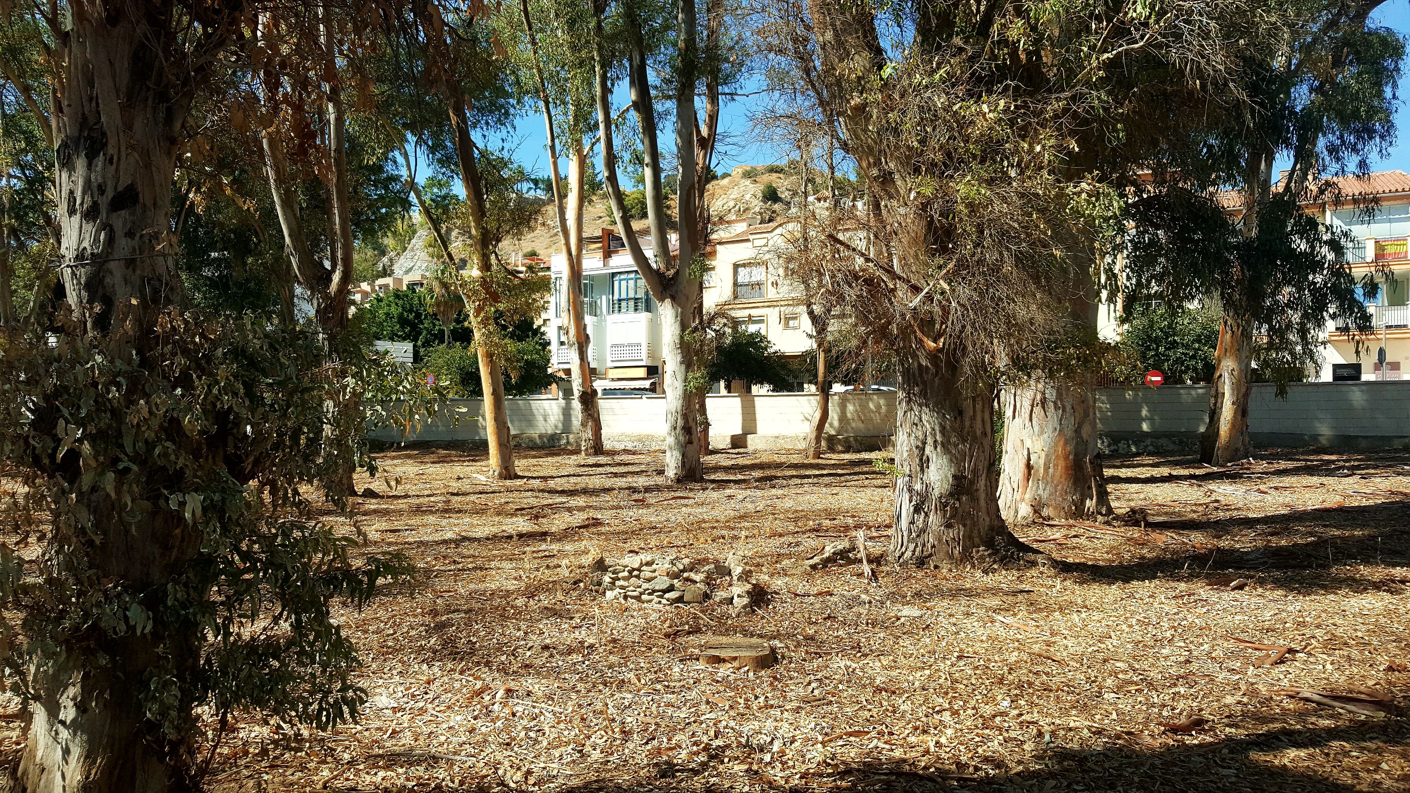 20250912_161431.jpg
