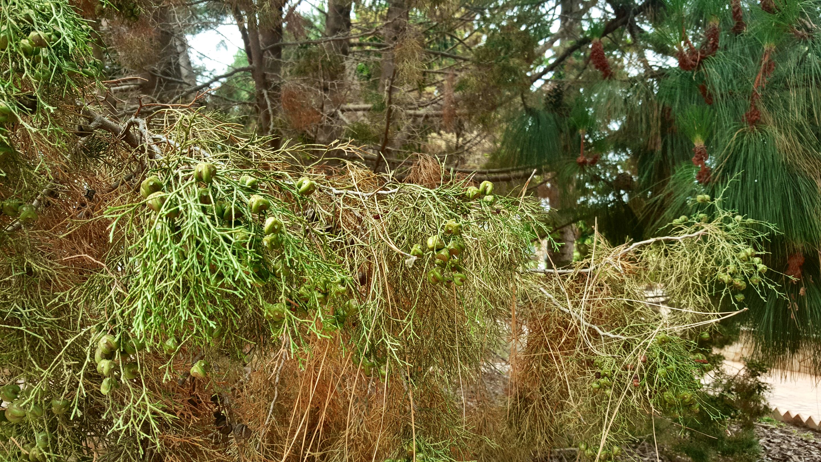 20250610_162121.jpg