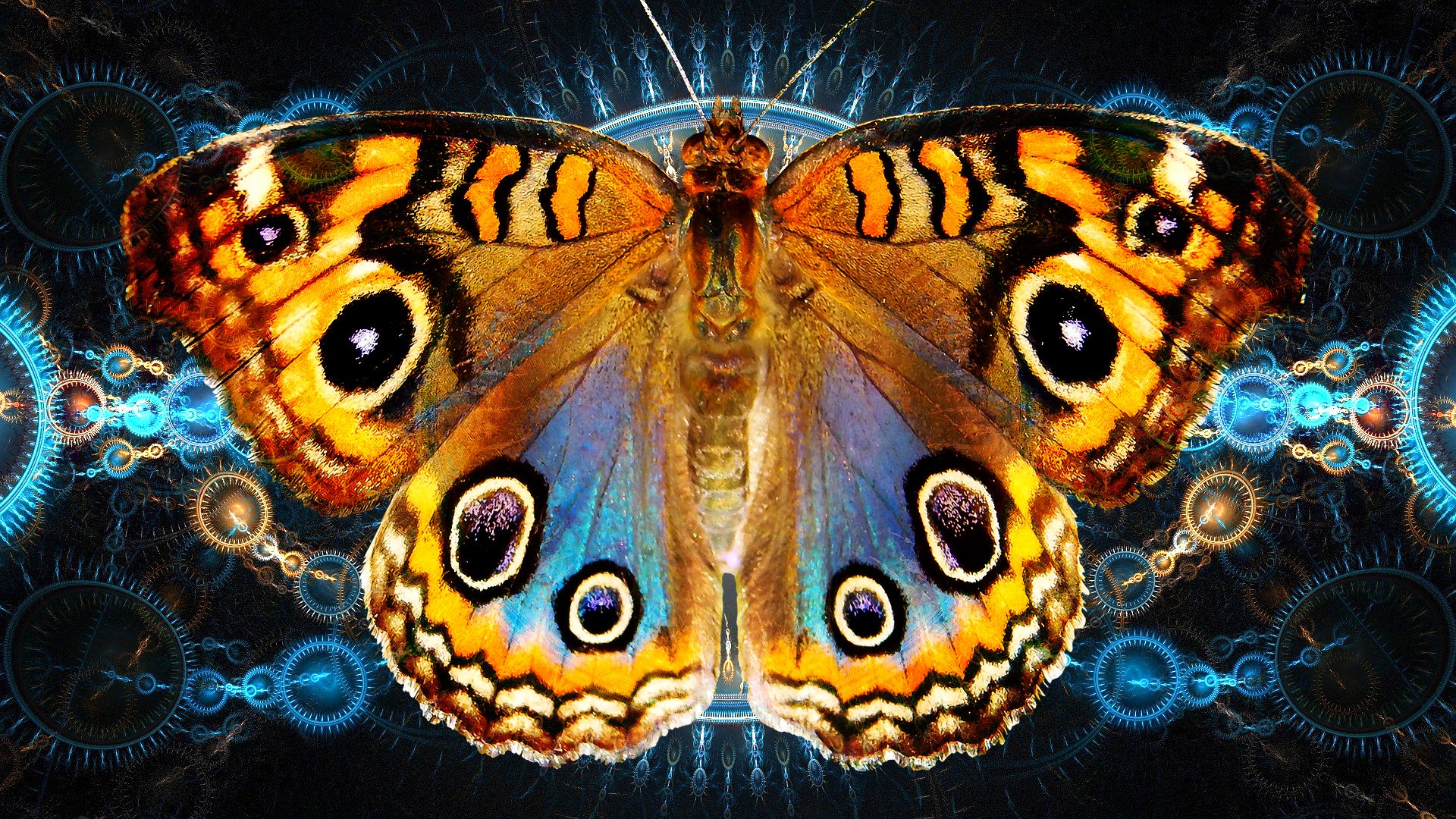Mariposa mecanica 3.jpg