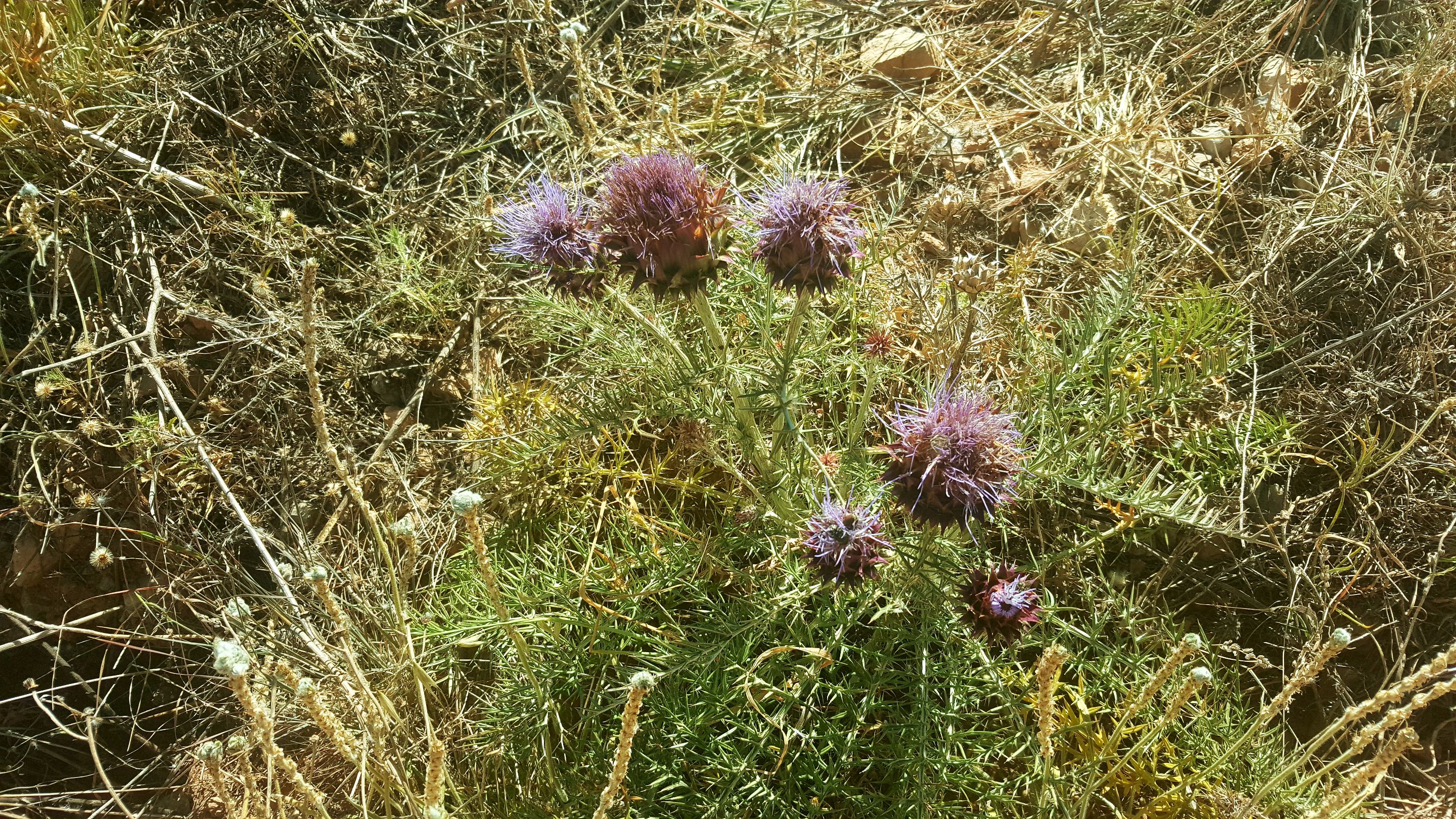 20230426_172409.jpg
