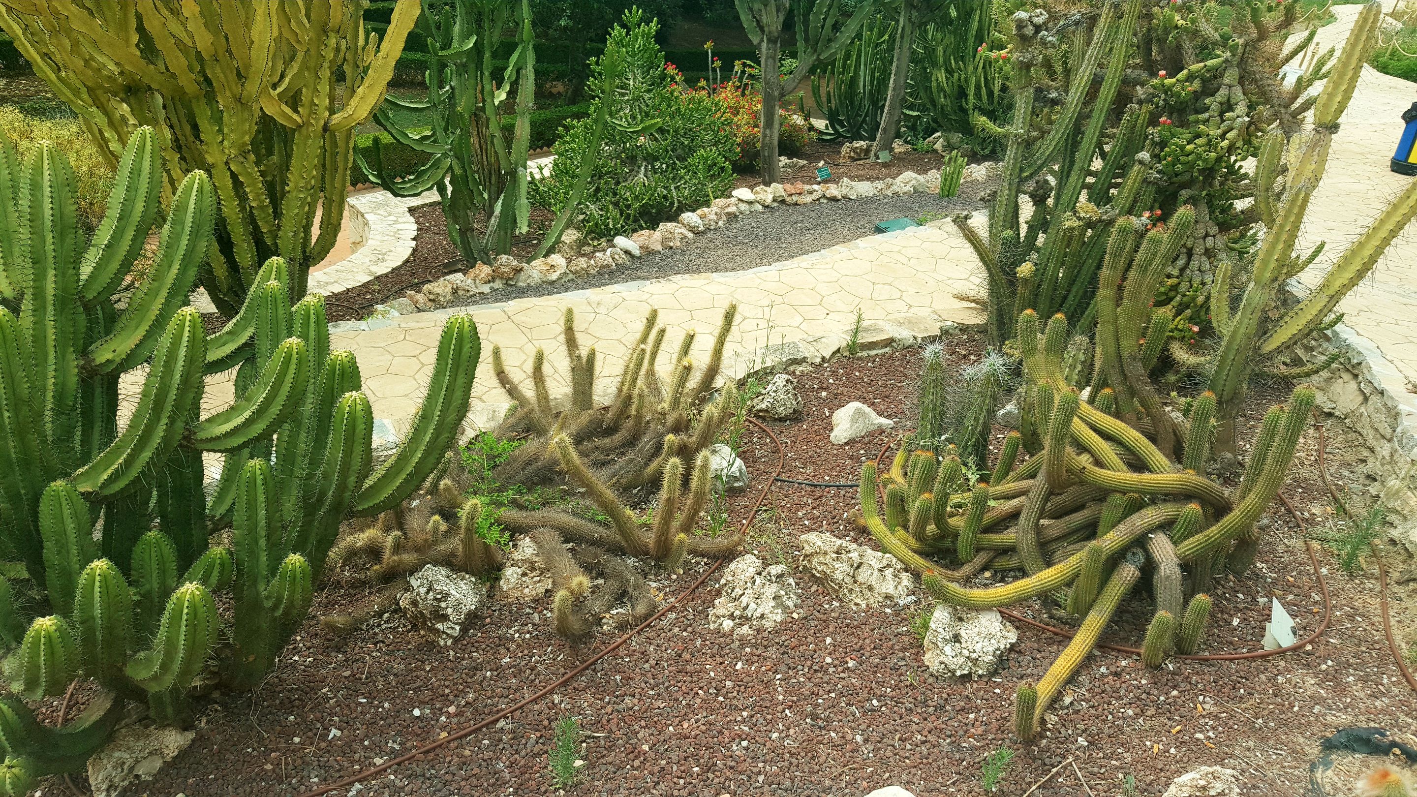 20250610_163512.jpg