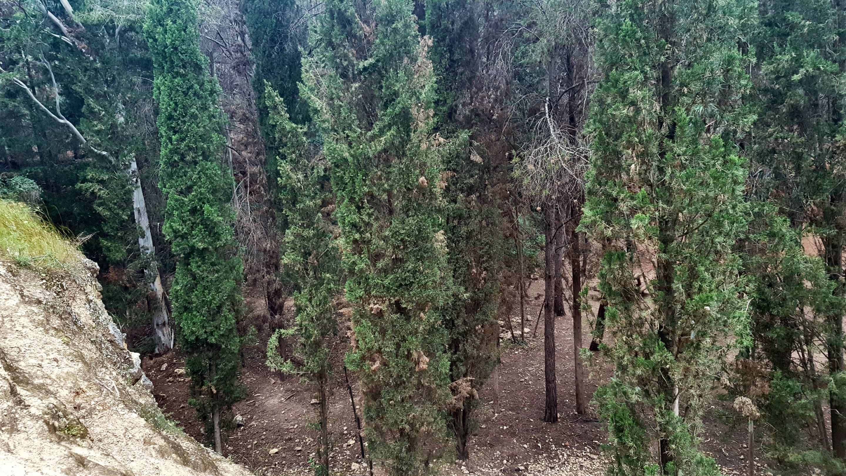 20250430_163645.jpg