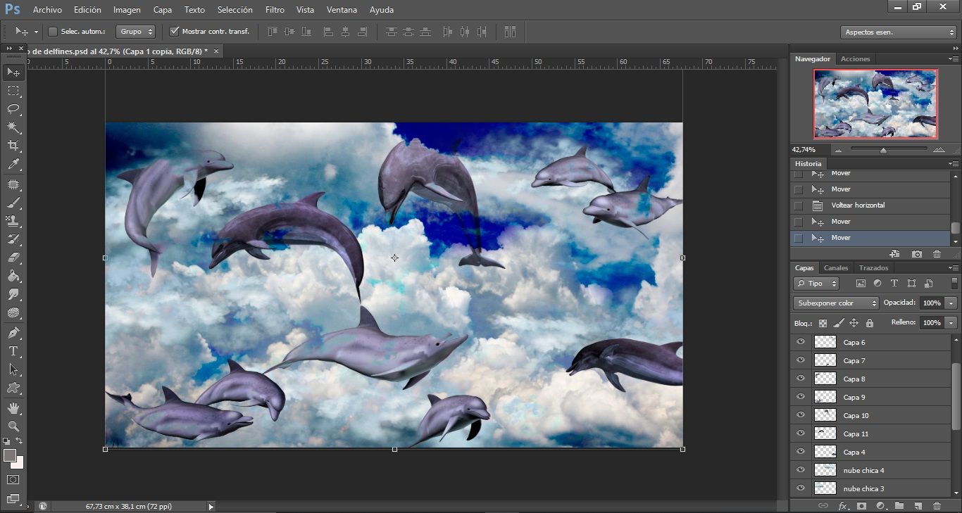 sueño de delfines 4.jpg