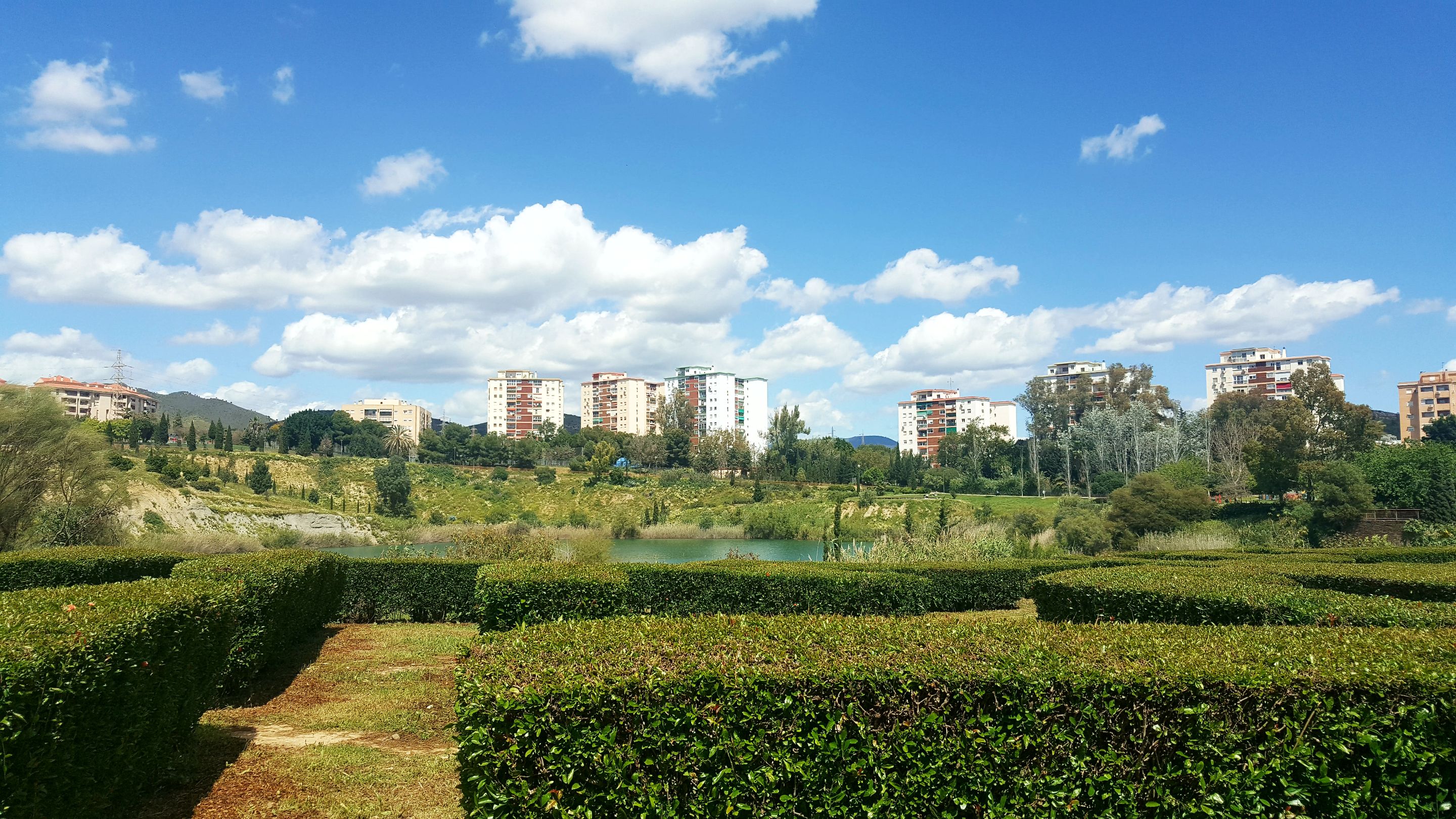 20250416_152140.jpg