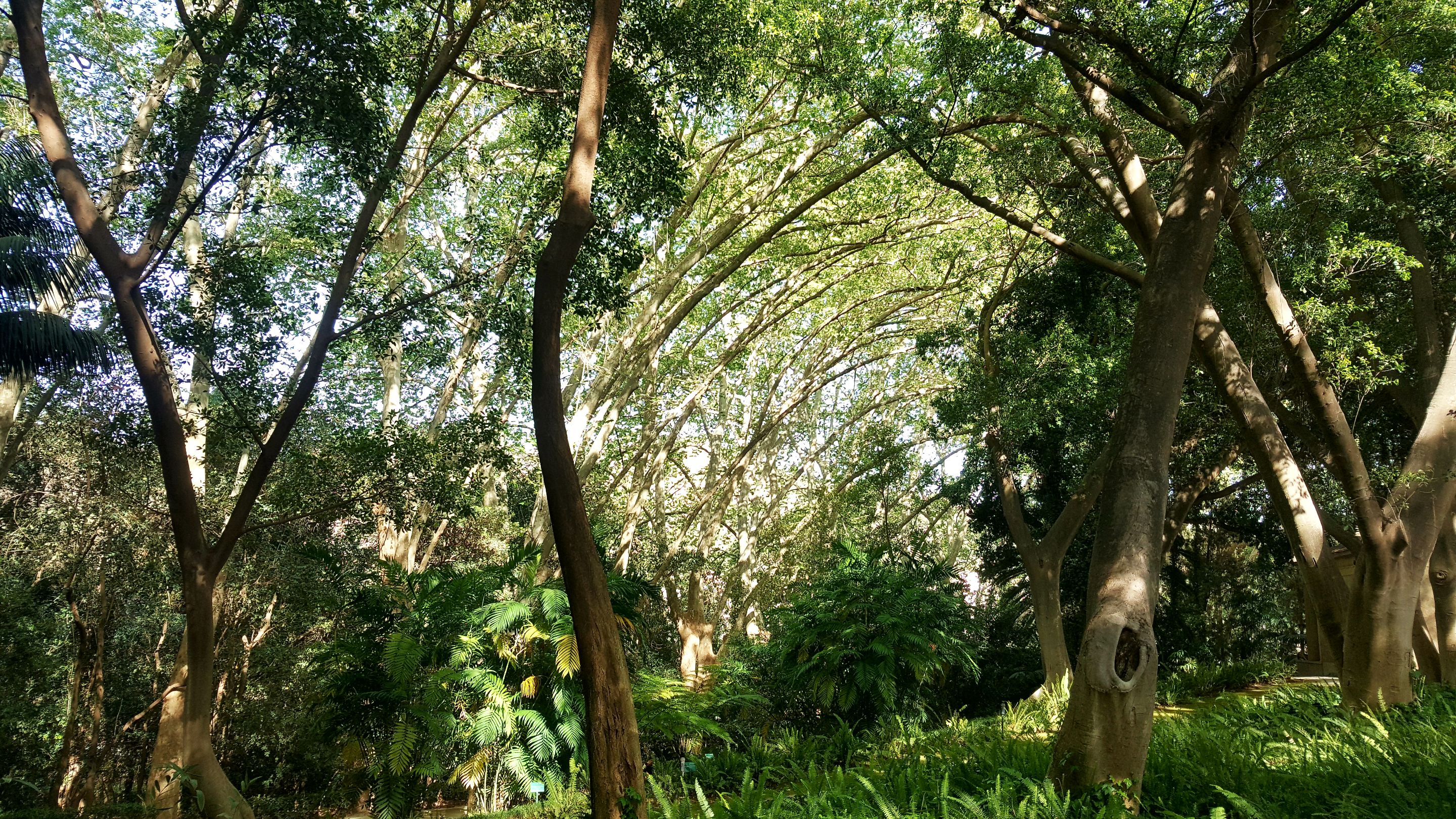 20230409_173855.jpg