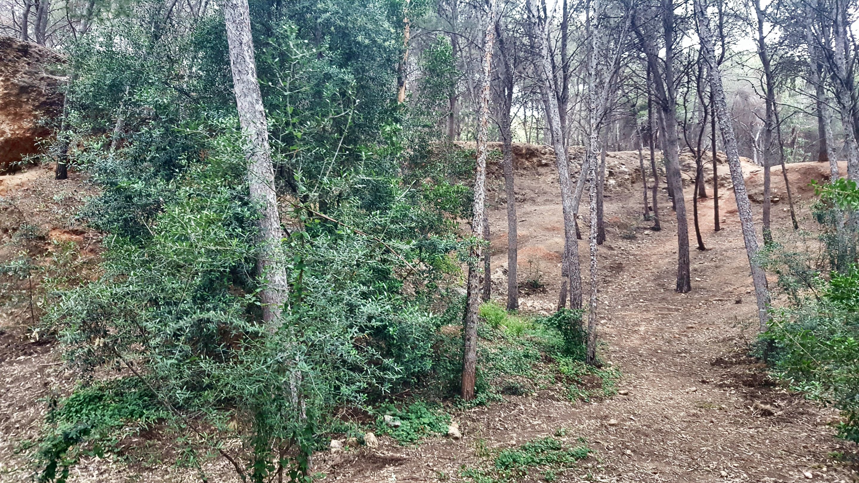 20250430_172153.jpg