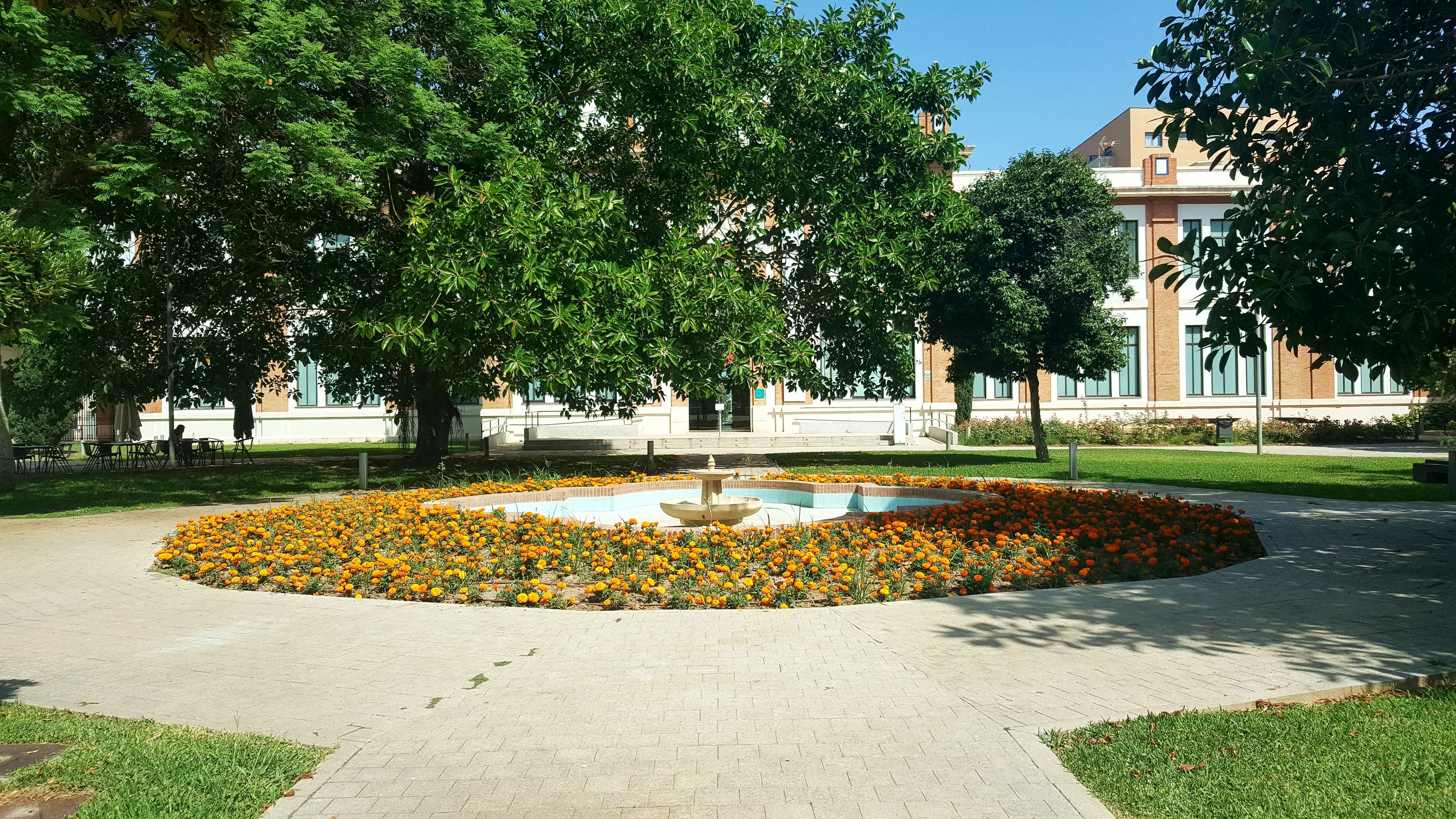 20250622_165947.jpg