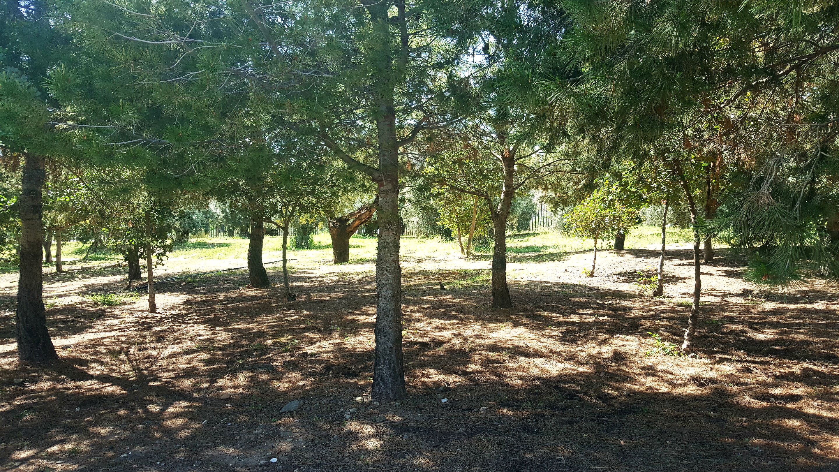 20250416_162255.jpg