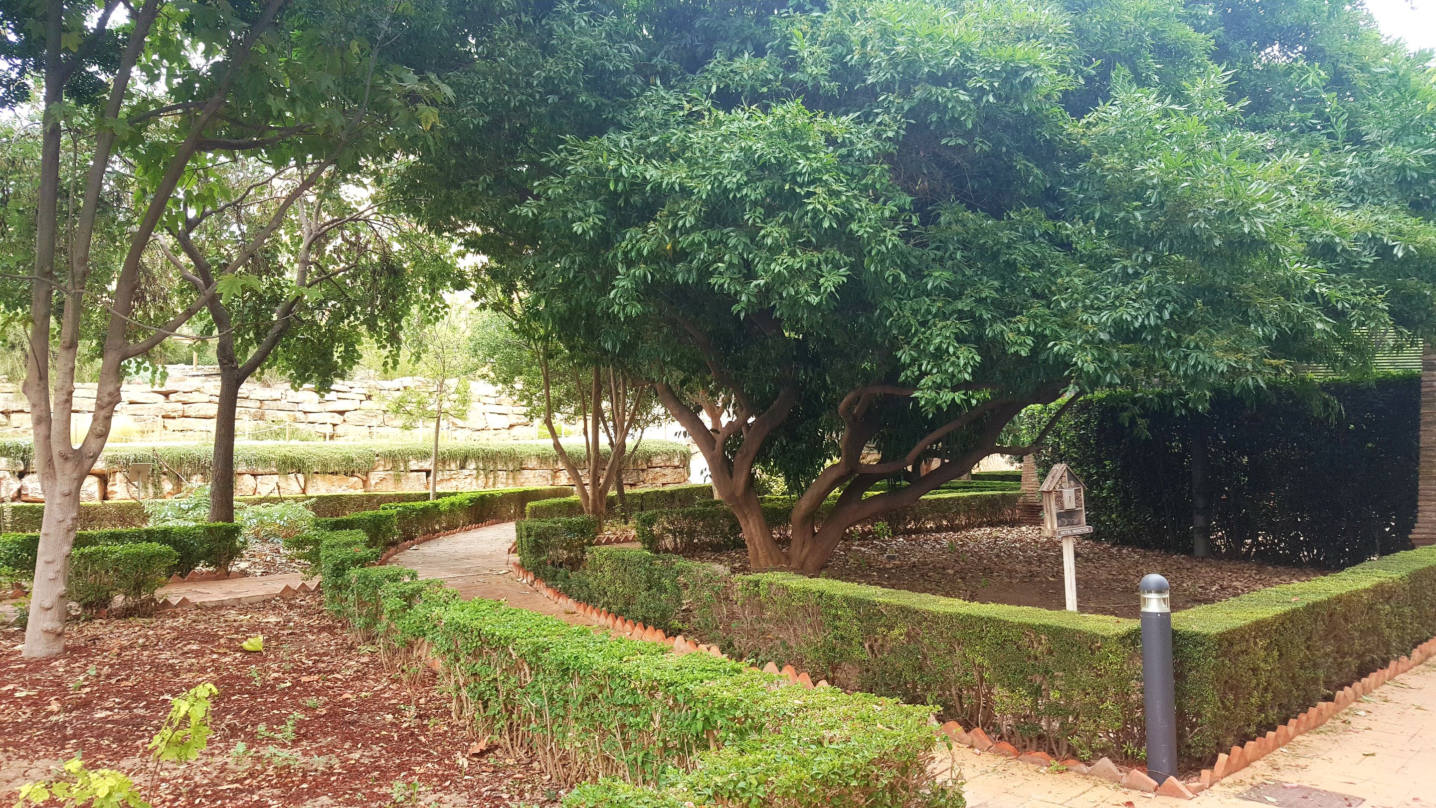 20250610_164410.jpg