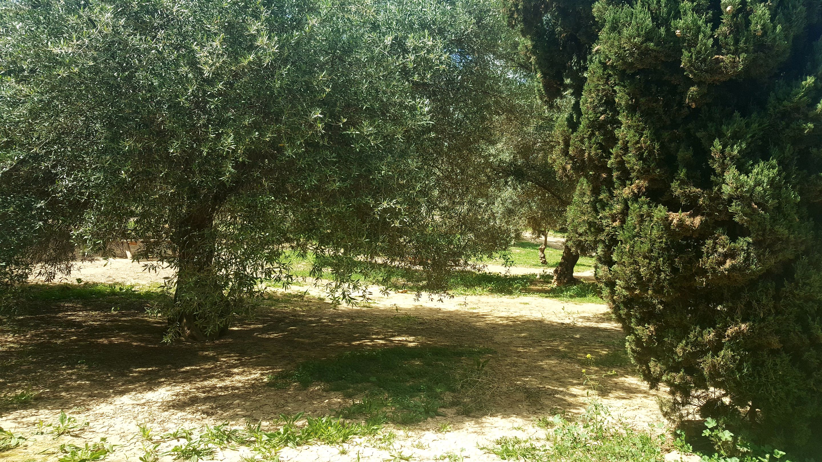 20250416_152214.jpg