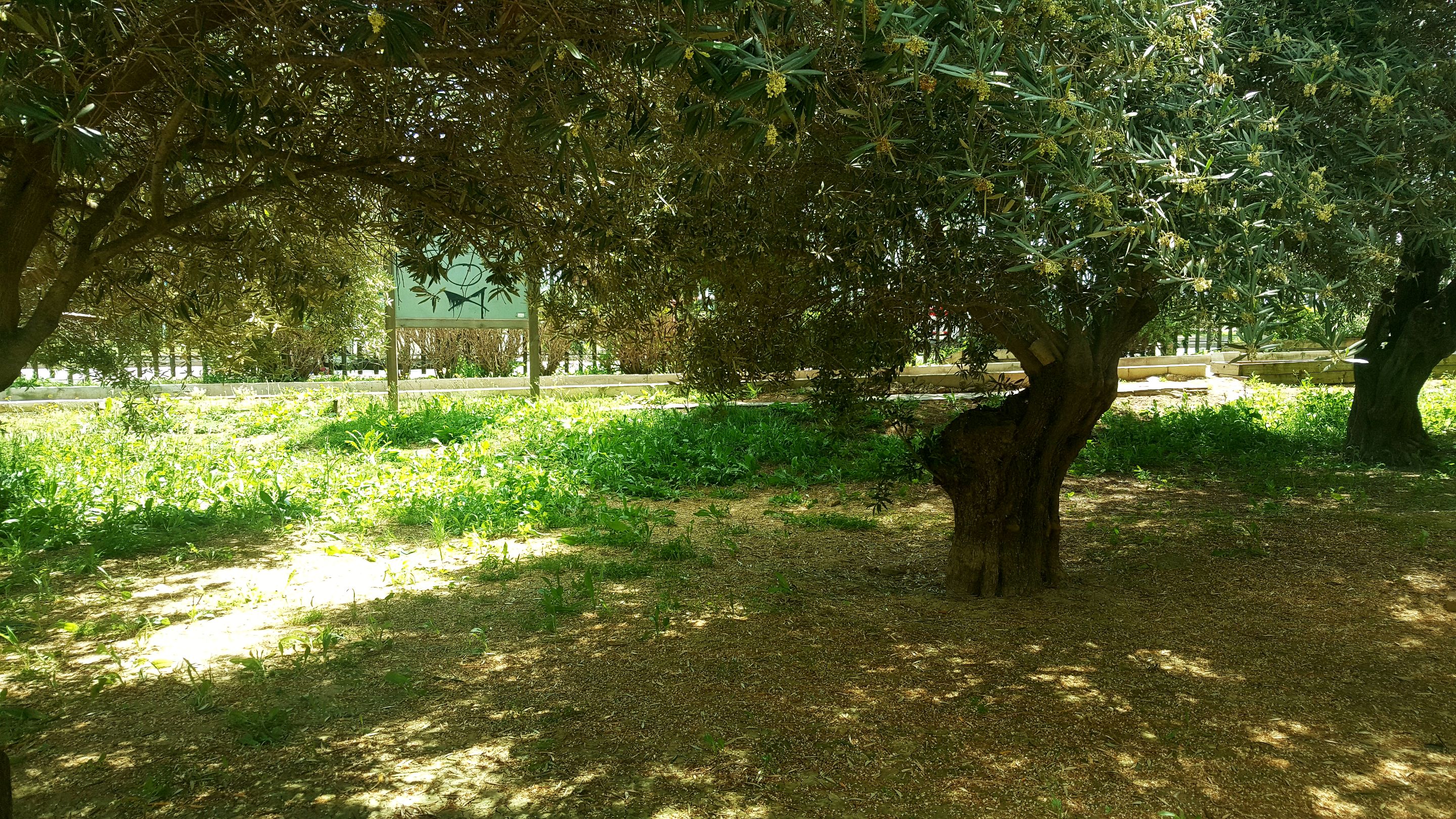 20250416_152217.jpg