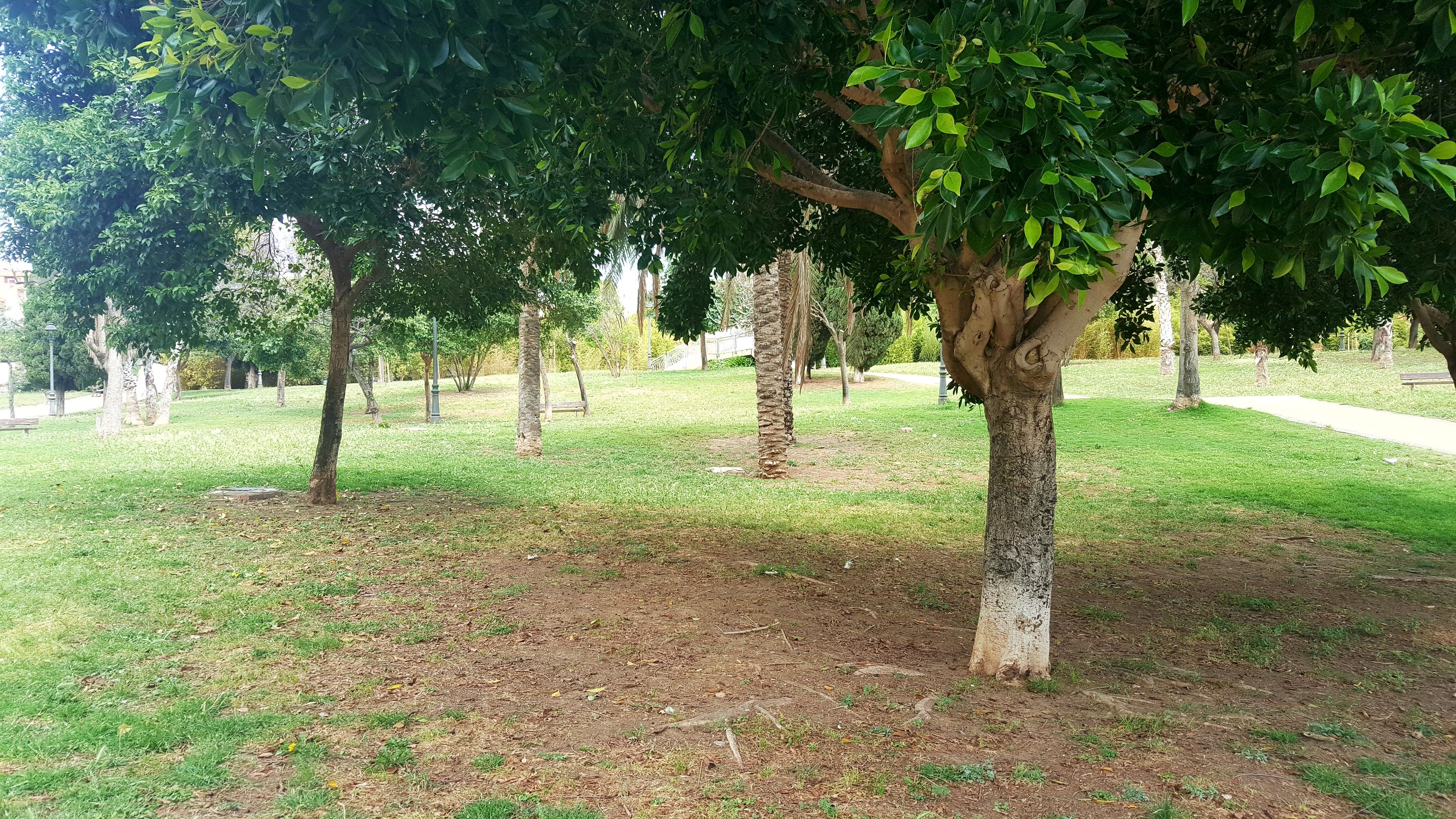 20250507_152646.jpg