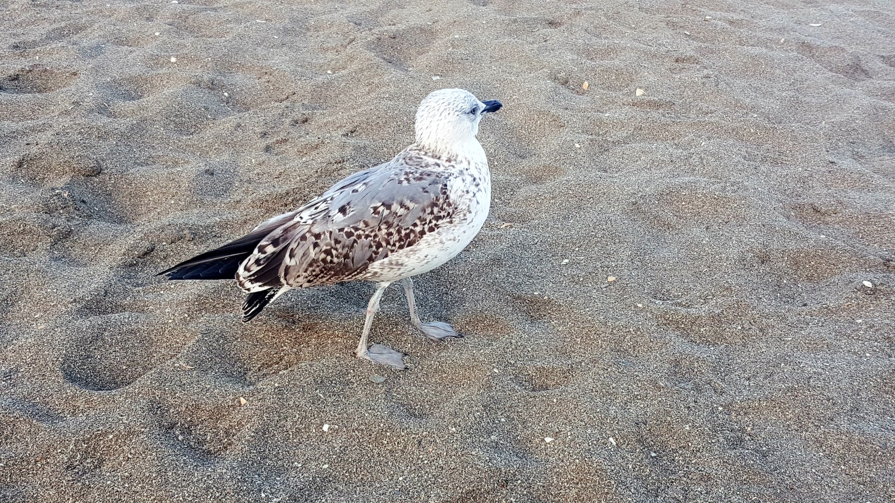 20231115_165823.jpg