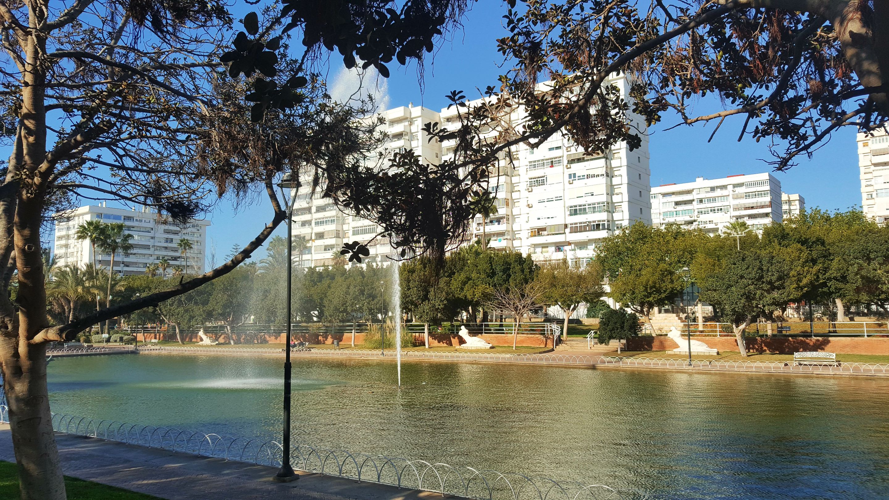 20240202_160028.jpg