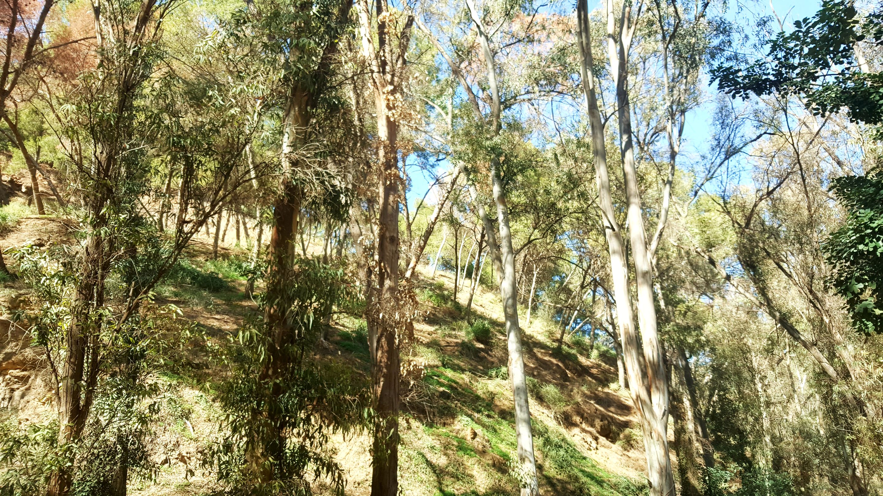 20240218_150503.jpg