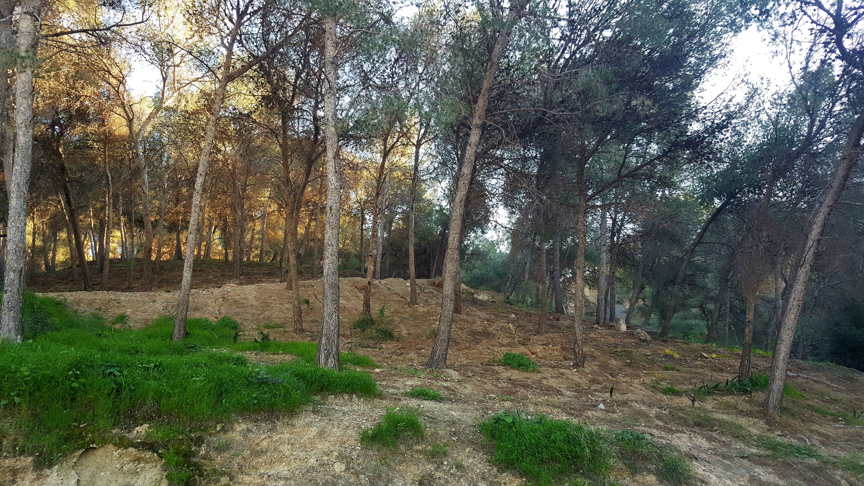 20250115_165942.jpg