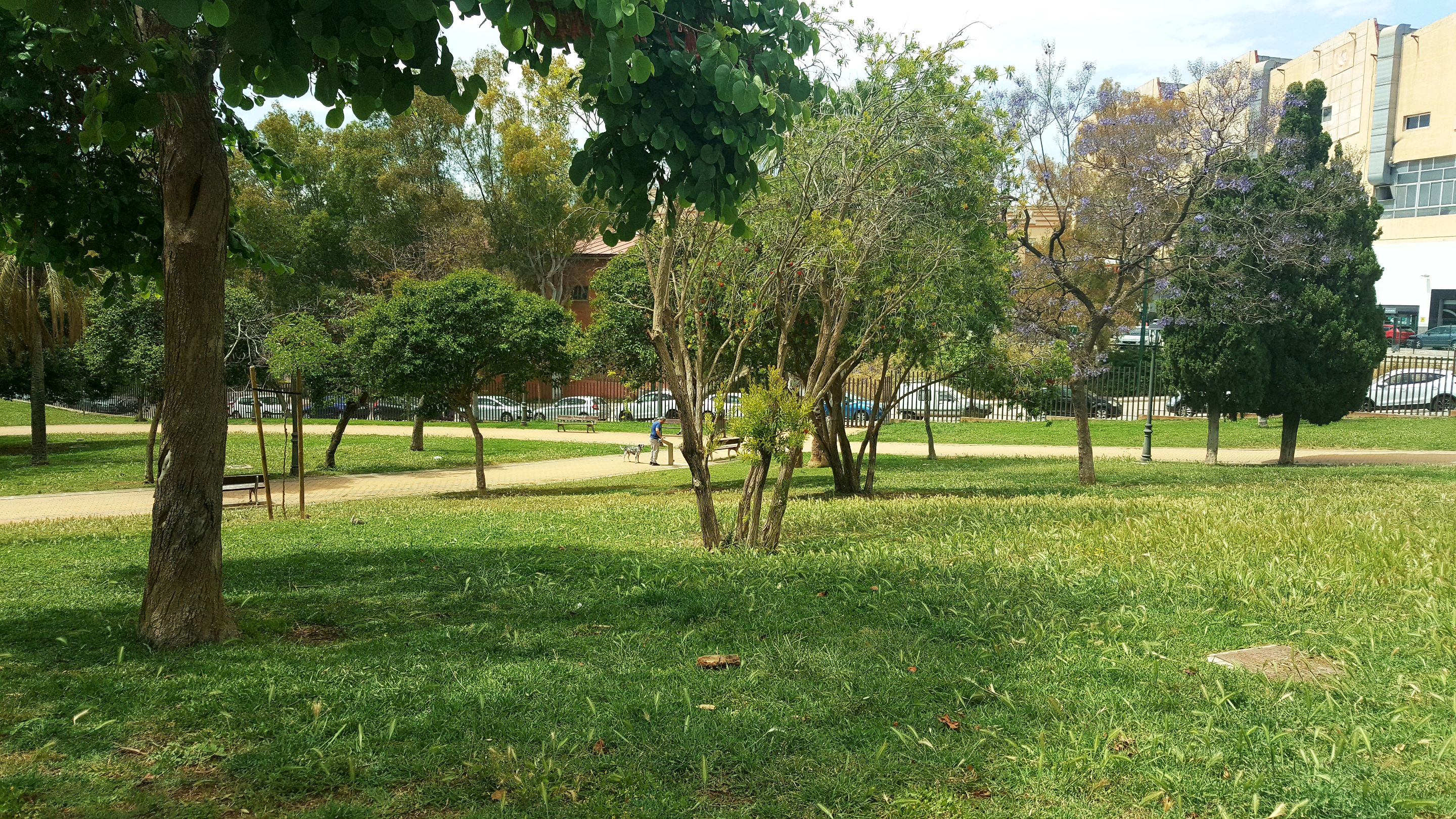 20250507_153146.jpg