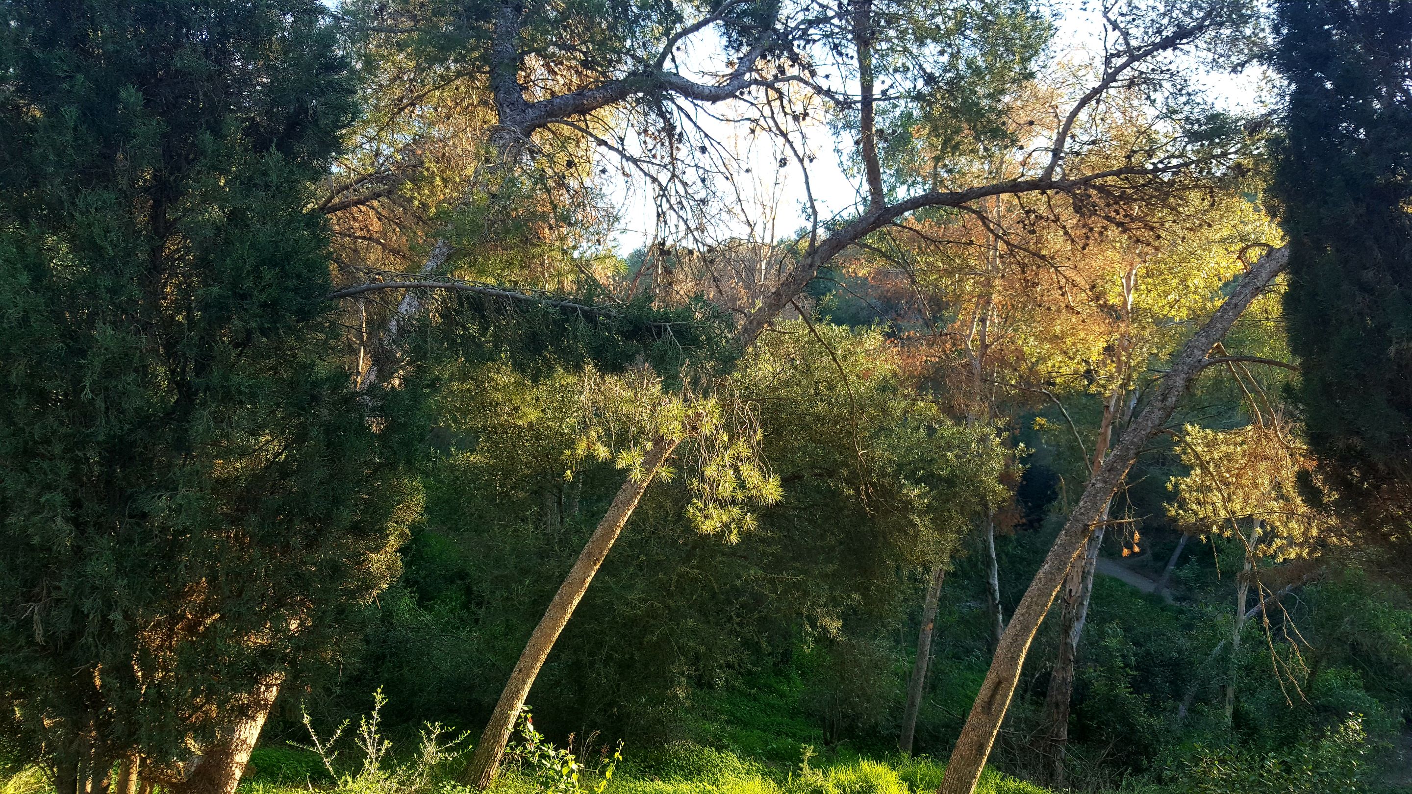 20250115_171328.jpg