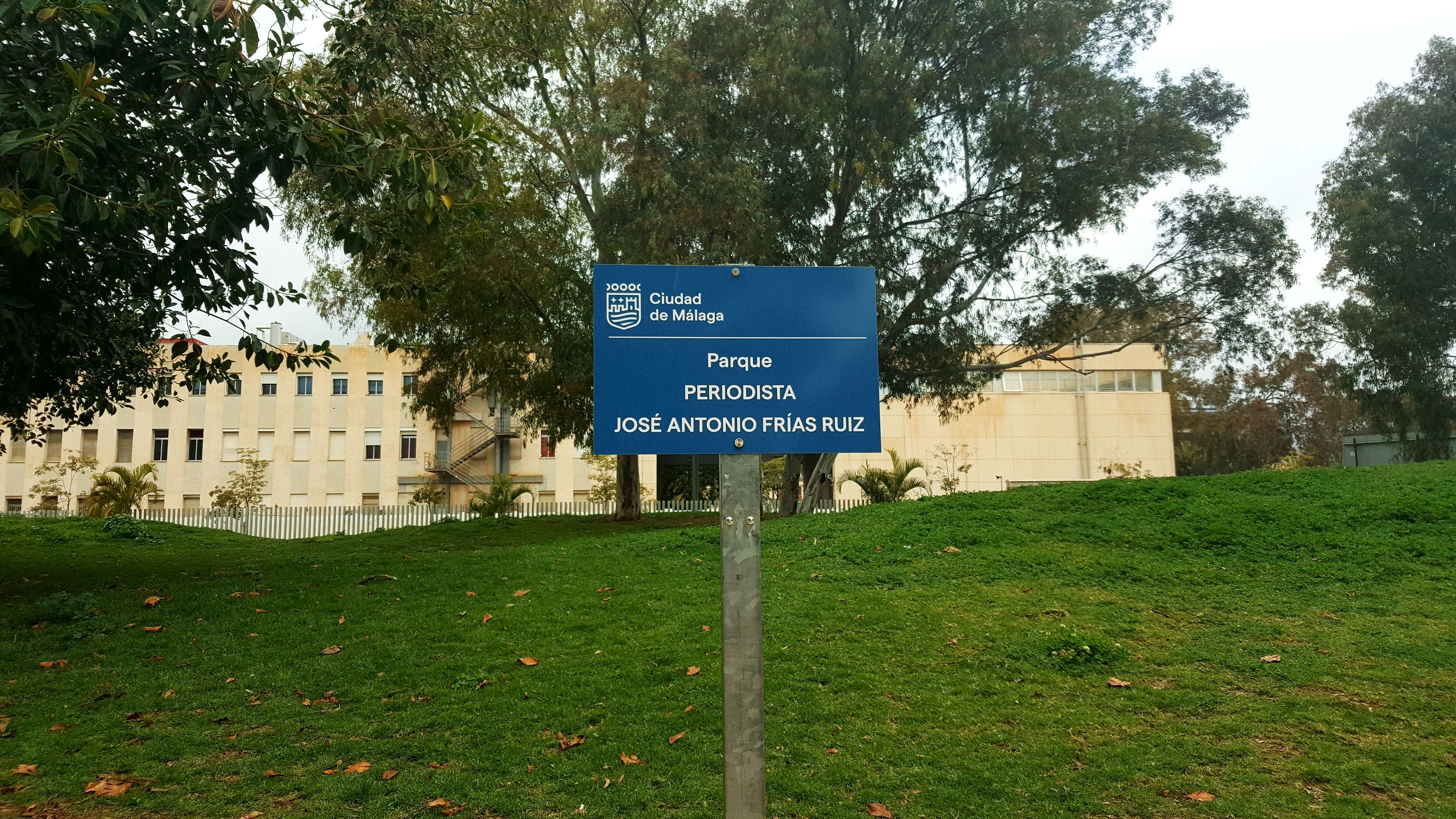 20250316_154044.jpg